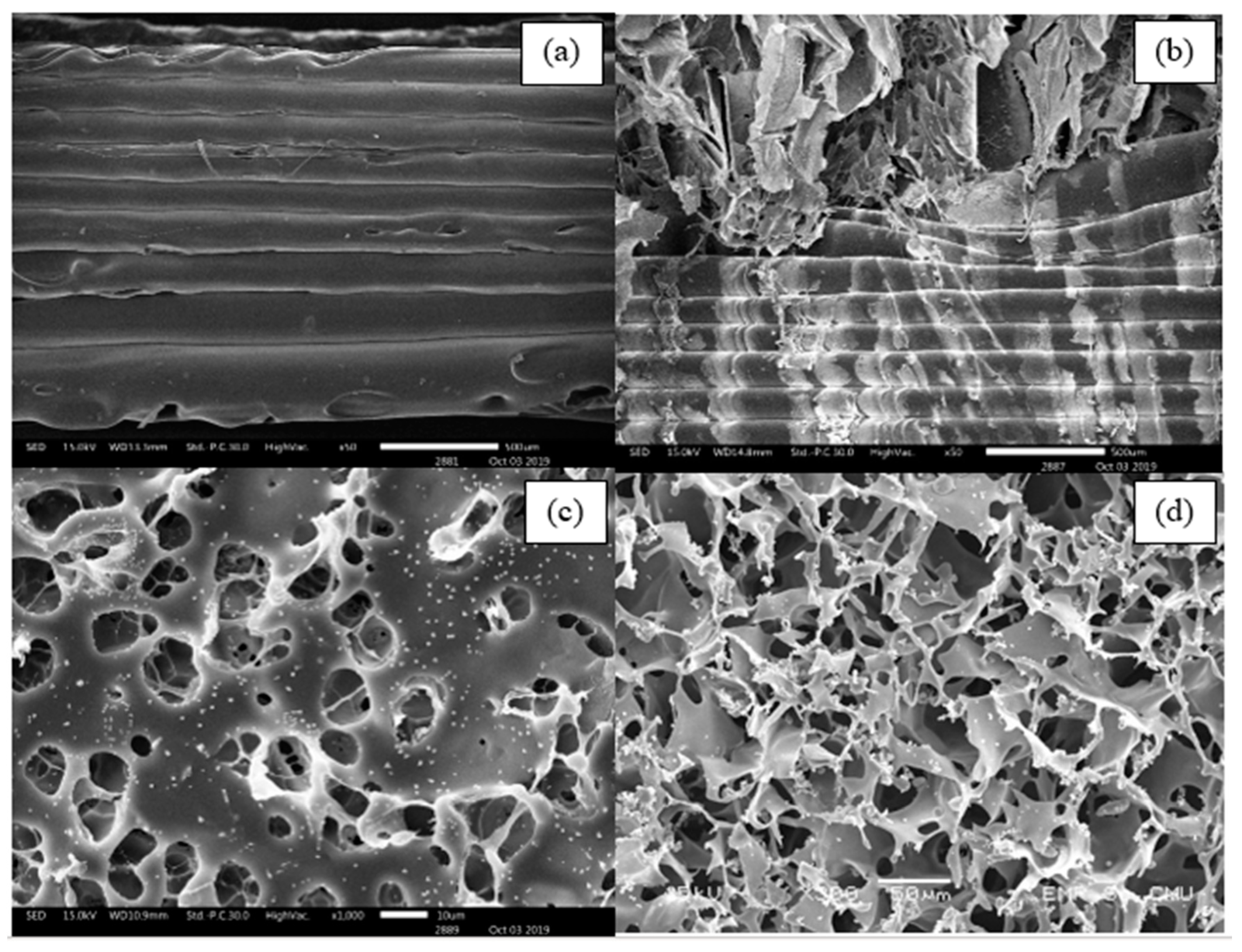 Materials 13 01564 g012