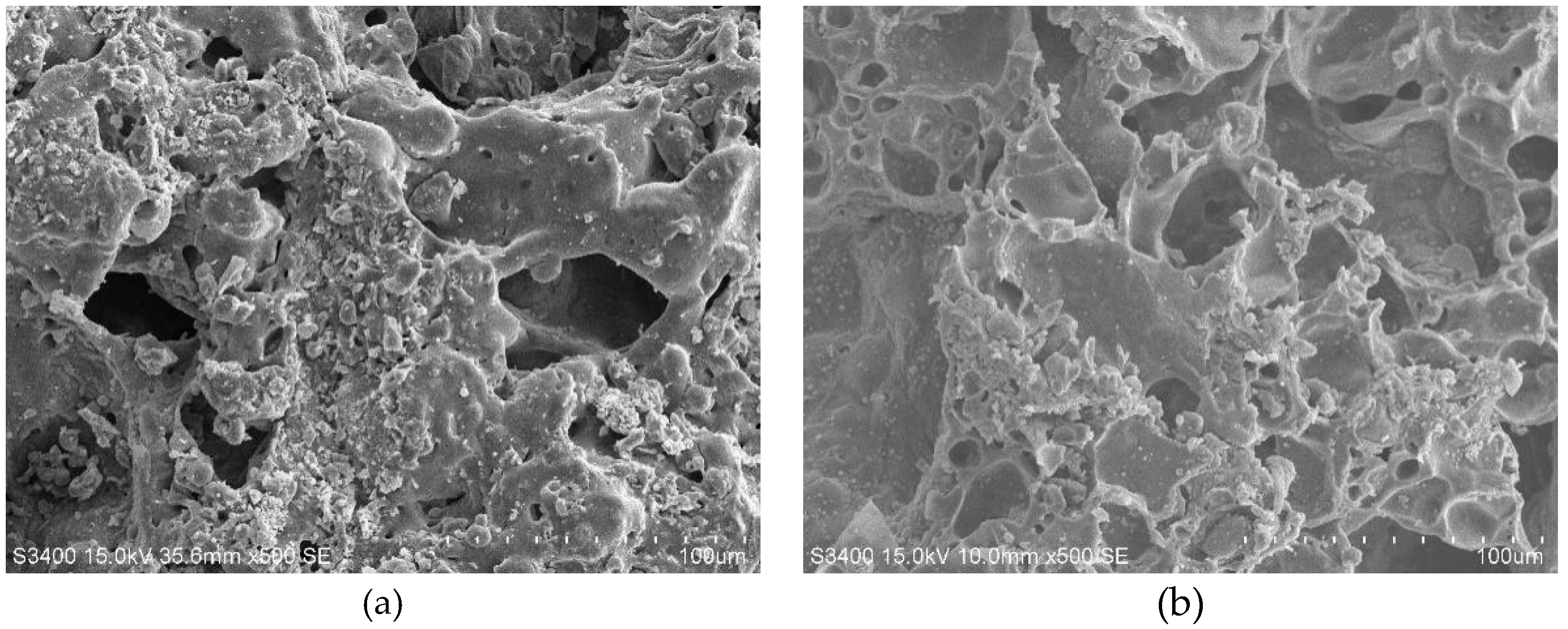 Materials 13 01566 g012