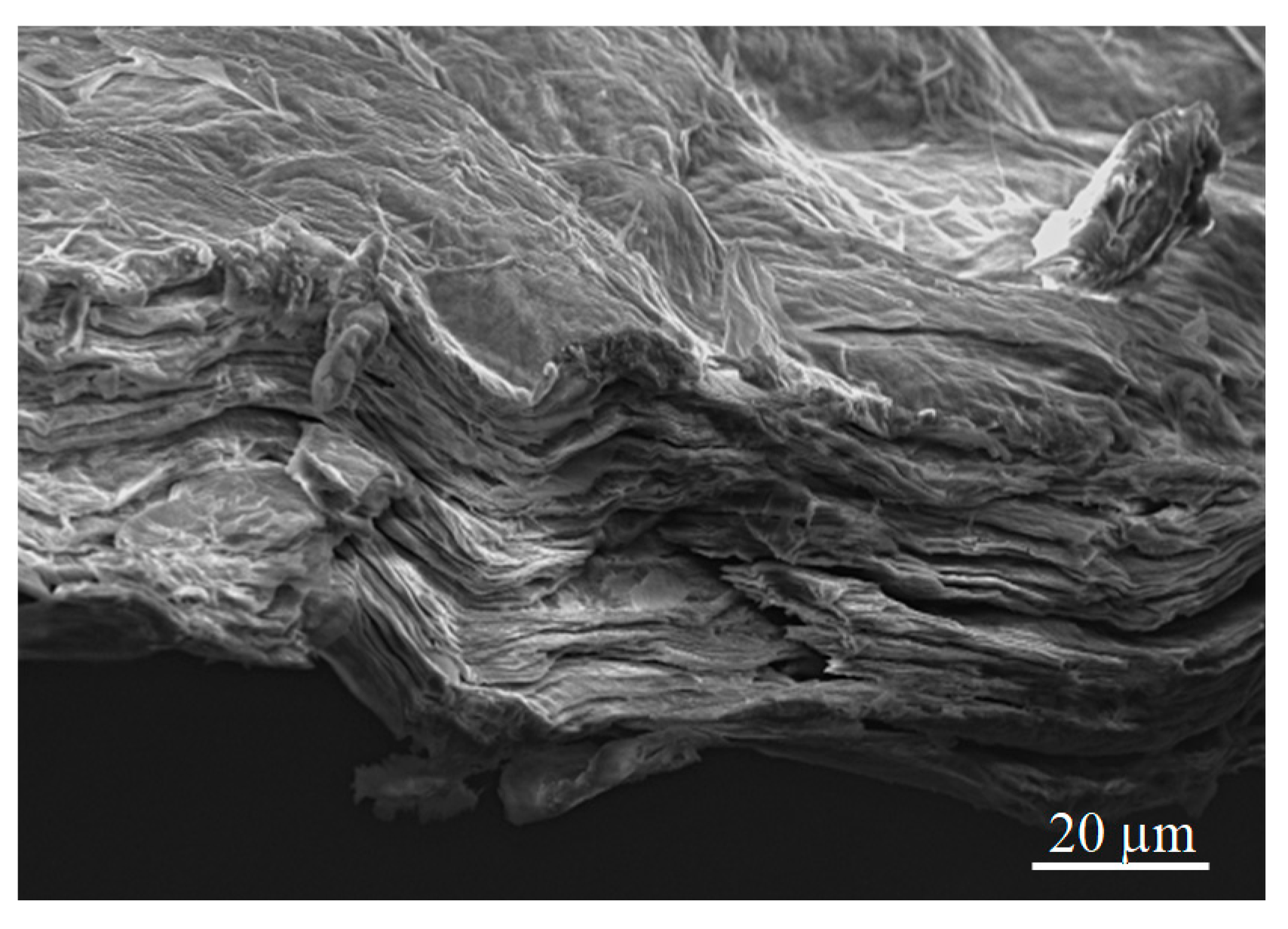 Materials 13 01568 g002