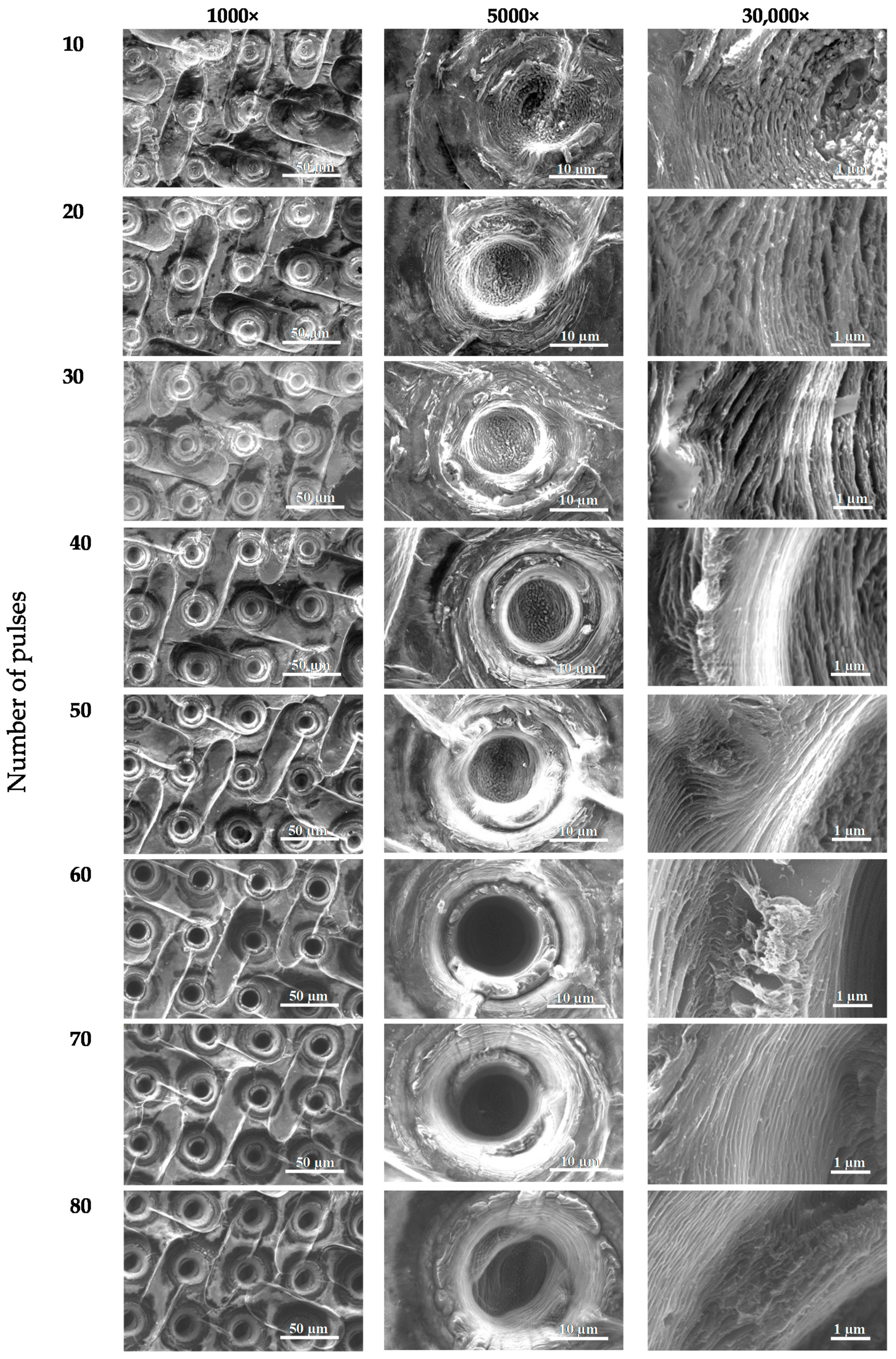 Materials 13 01568 g004