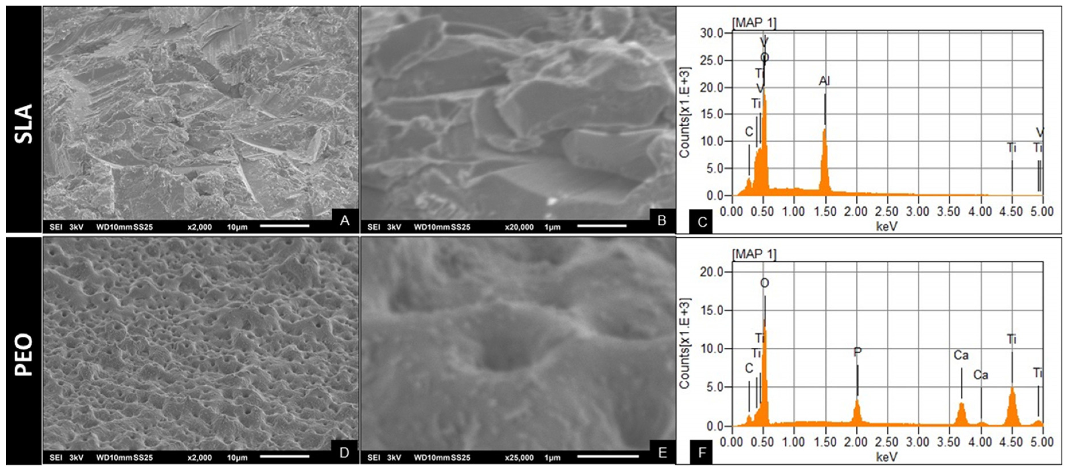 Materials 13 01604 g001