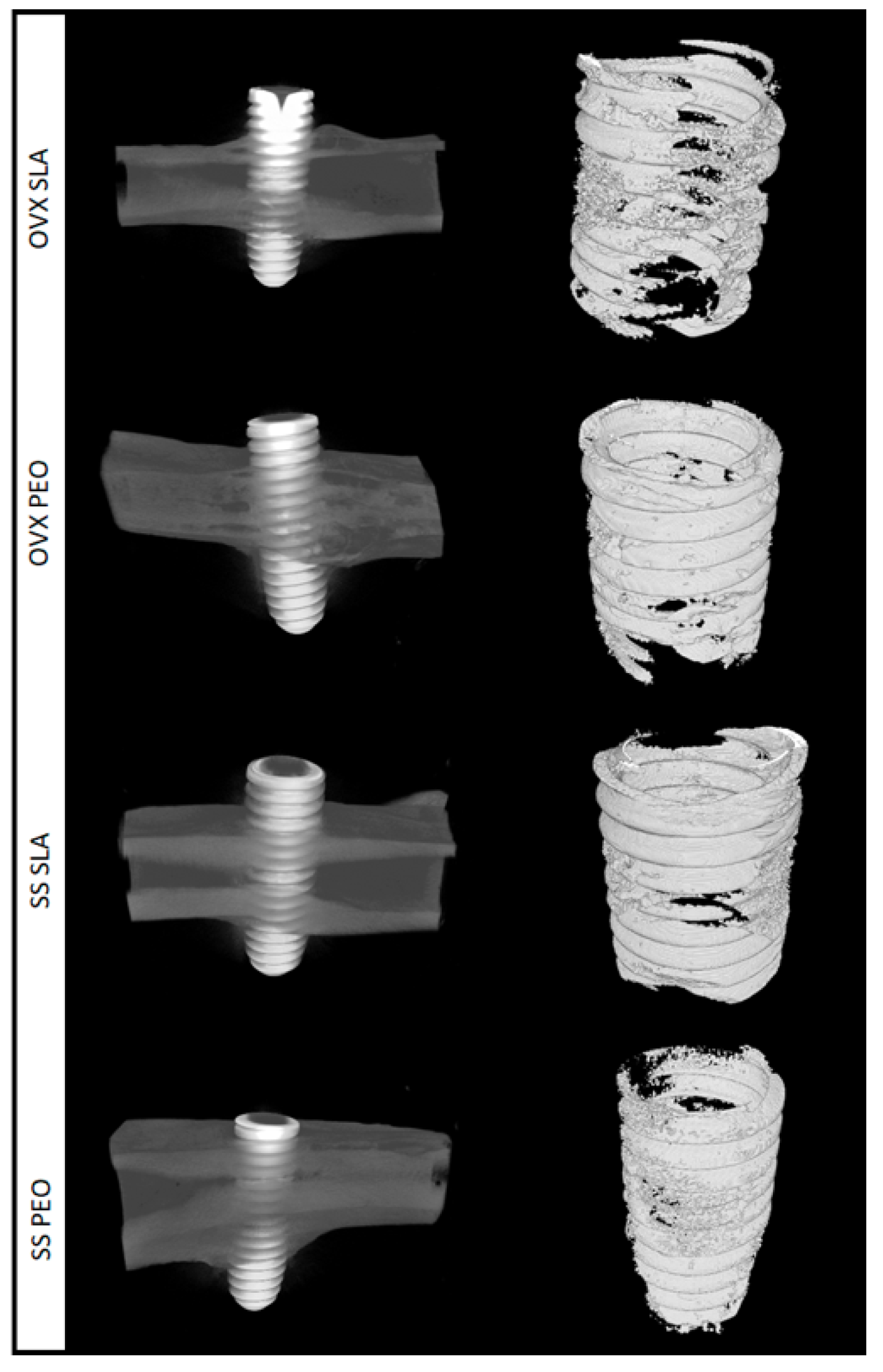 Materials 13 01604 g003