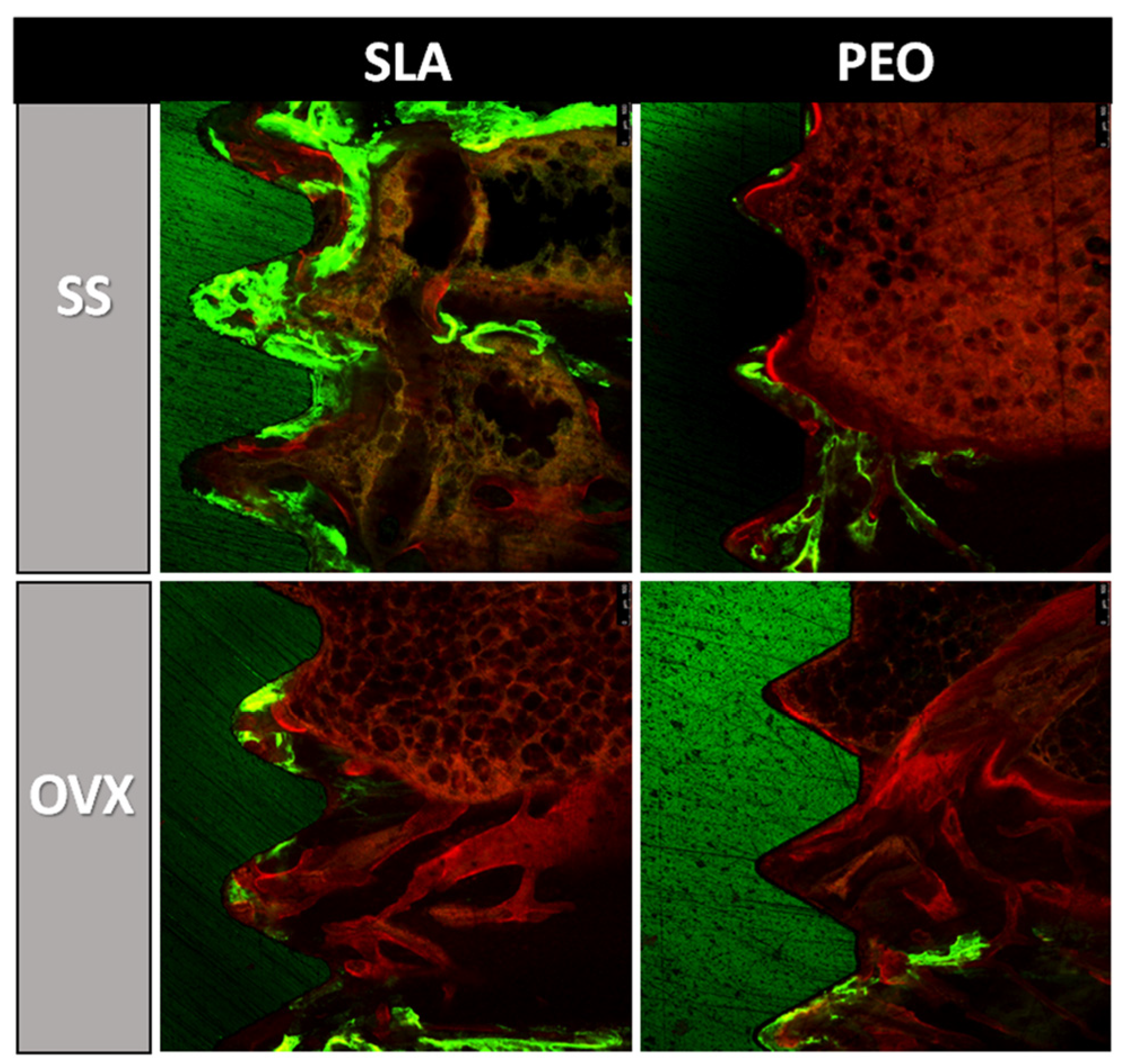 Materials 13 01604 g006
