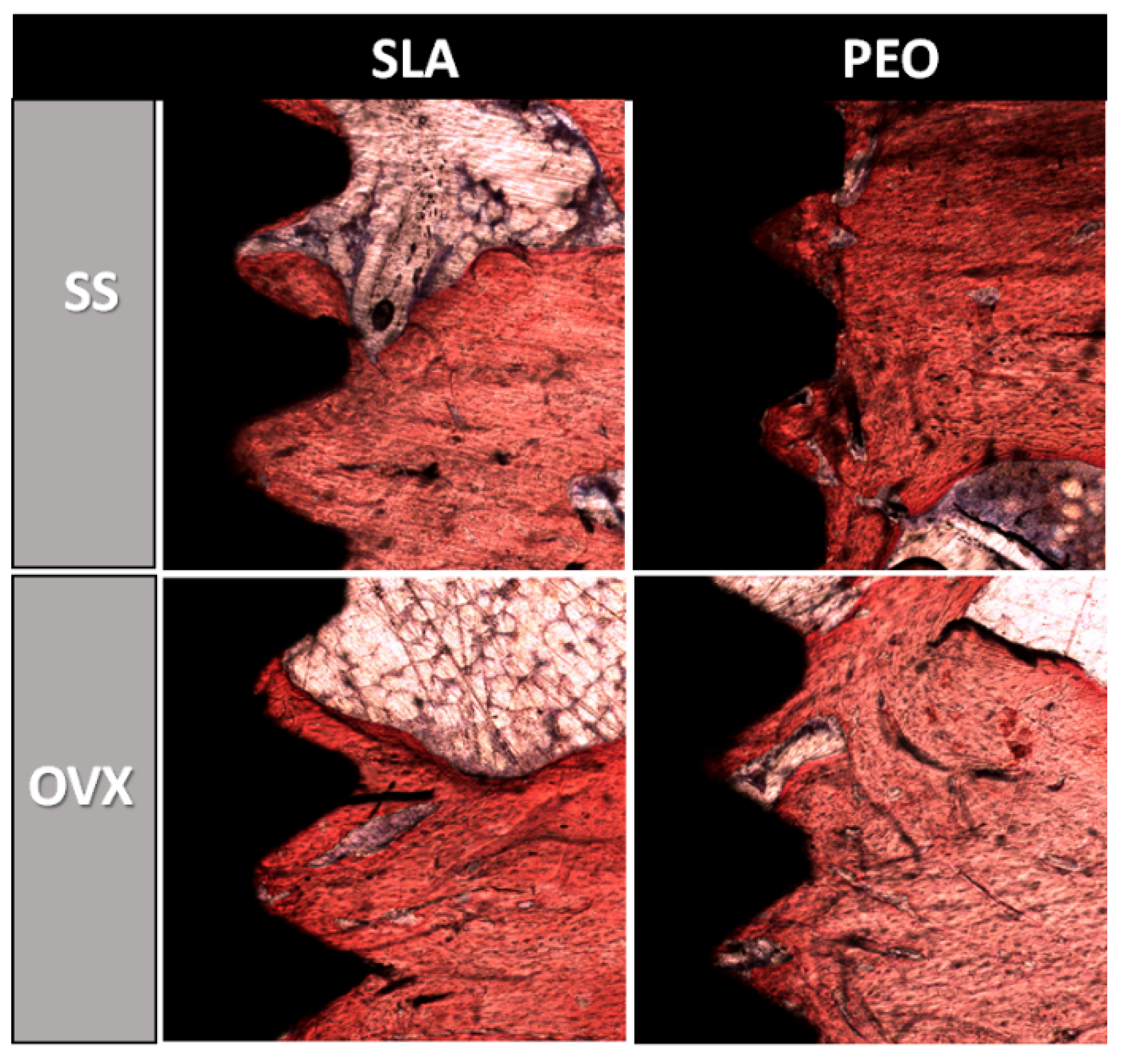 Materials 13 01604 g008