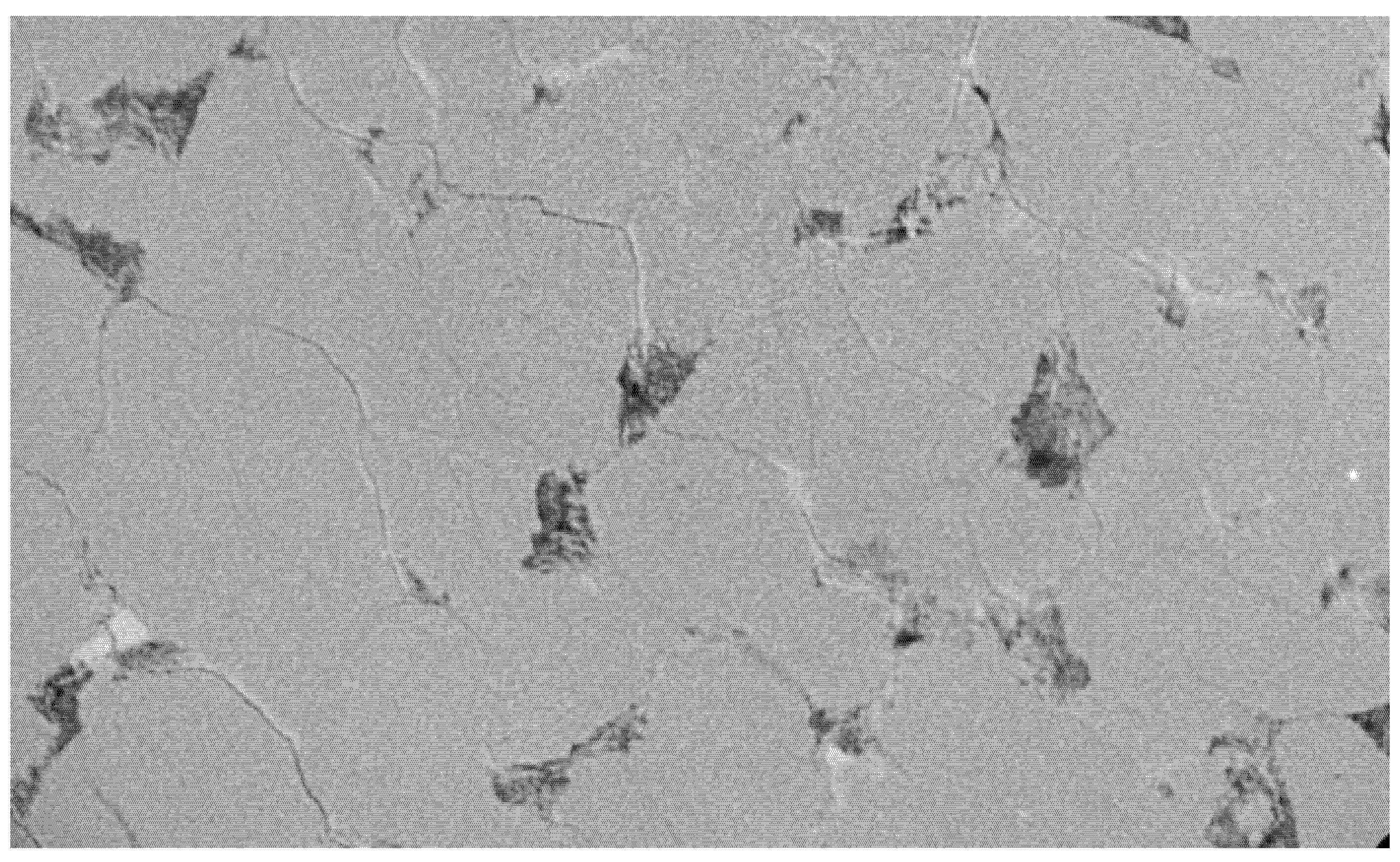 Materials 13 01607 g001