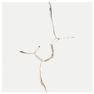 Materials 13 01607 i003