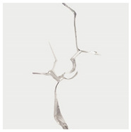 Materials 13 01607 i005