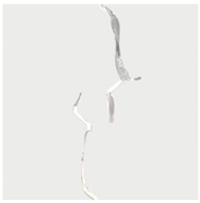 Materials 13 01607 i009