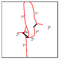 Materials 13 01607 i014