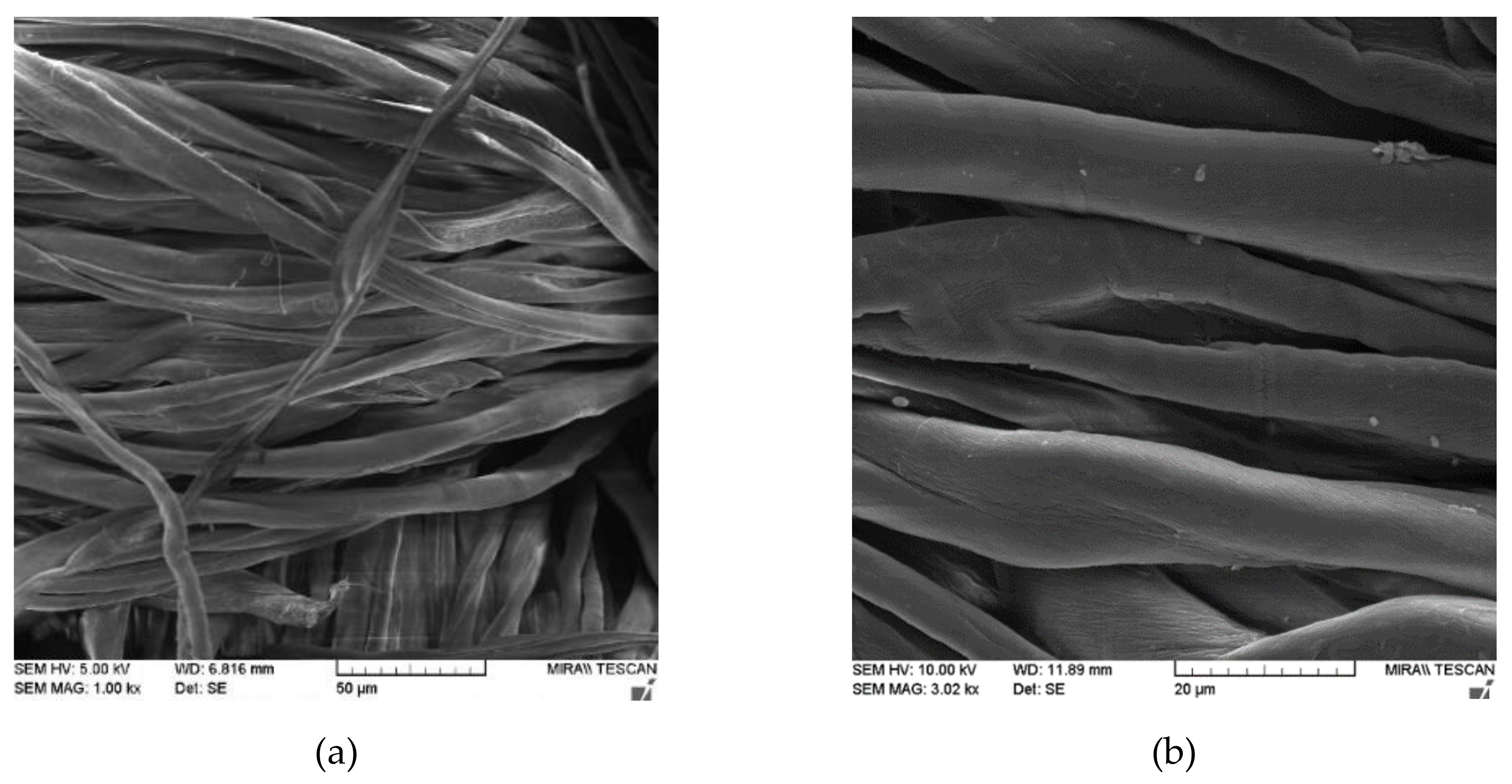 Materials 13 01616 g001