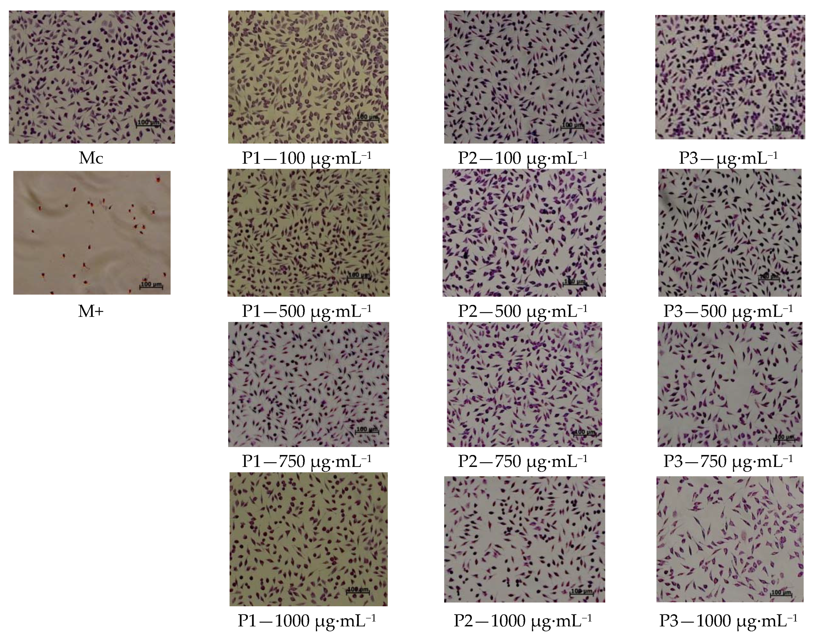 Materials 13 01618 g009