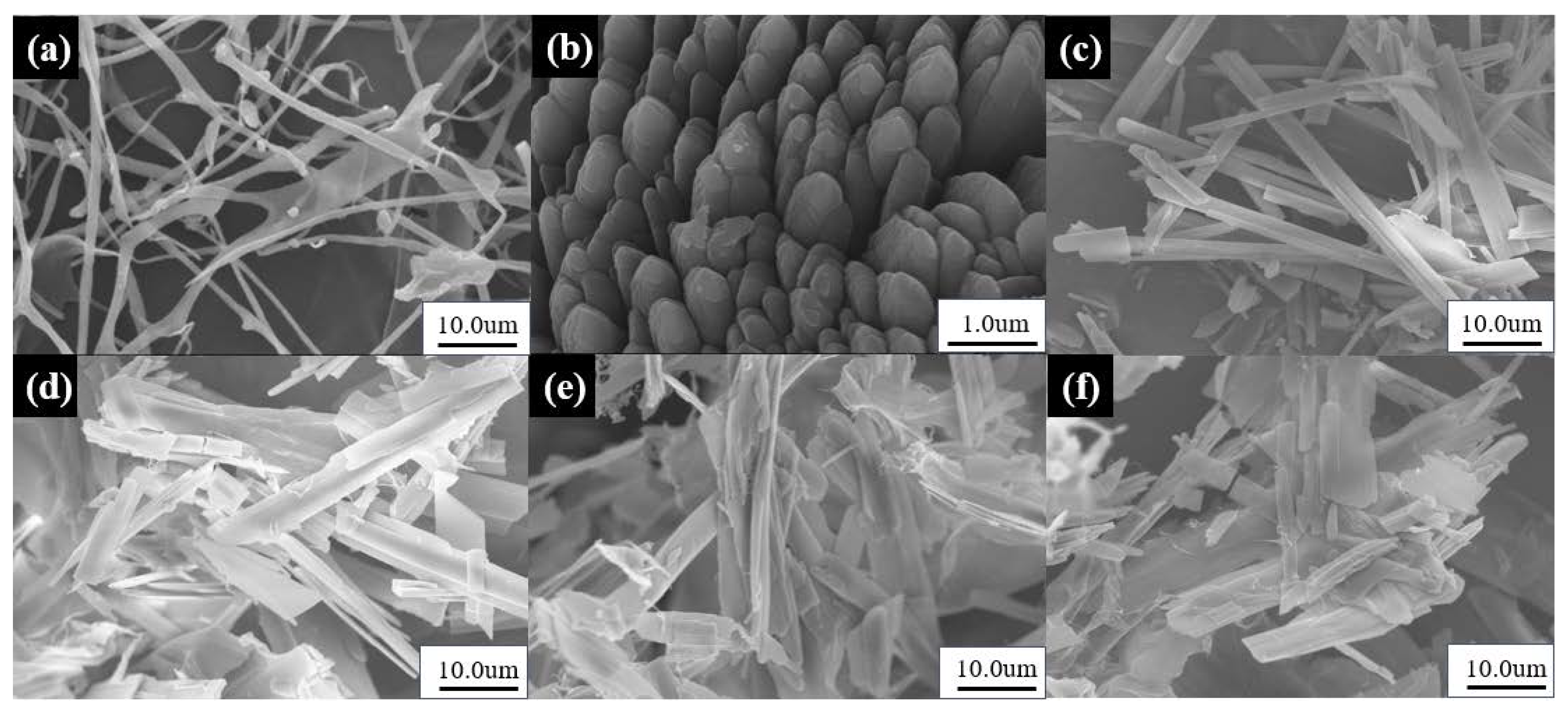 Materials 13 01624 g002