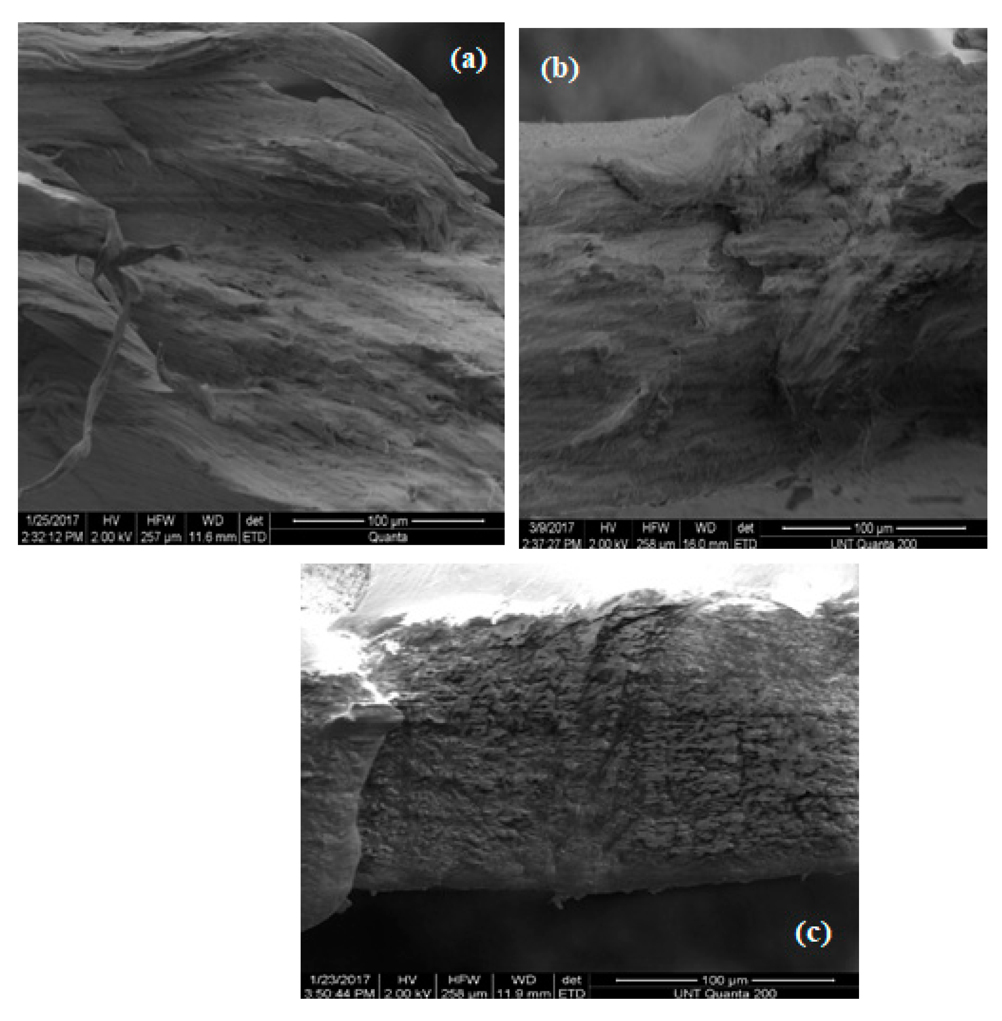 Materials 13 01626 g015