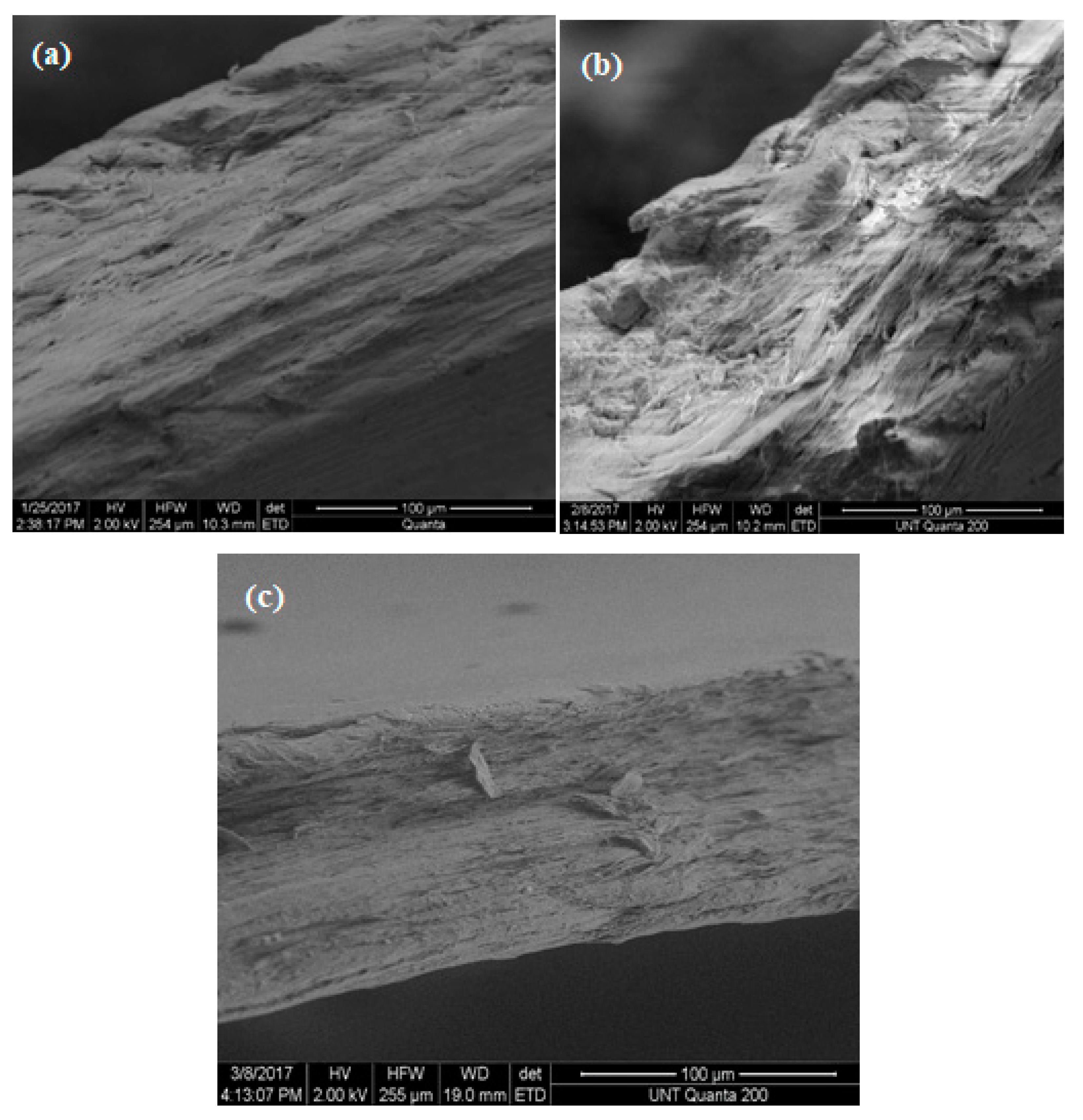 Materials 13 01626 g016