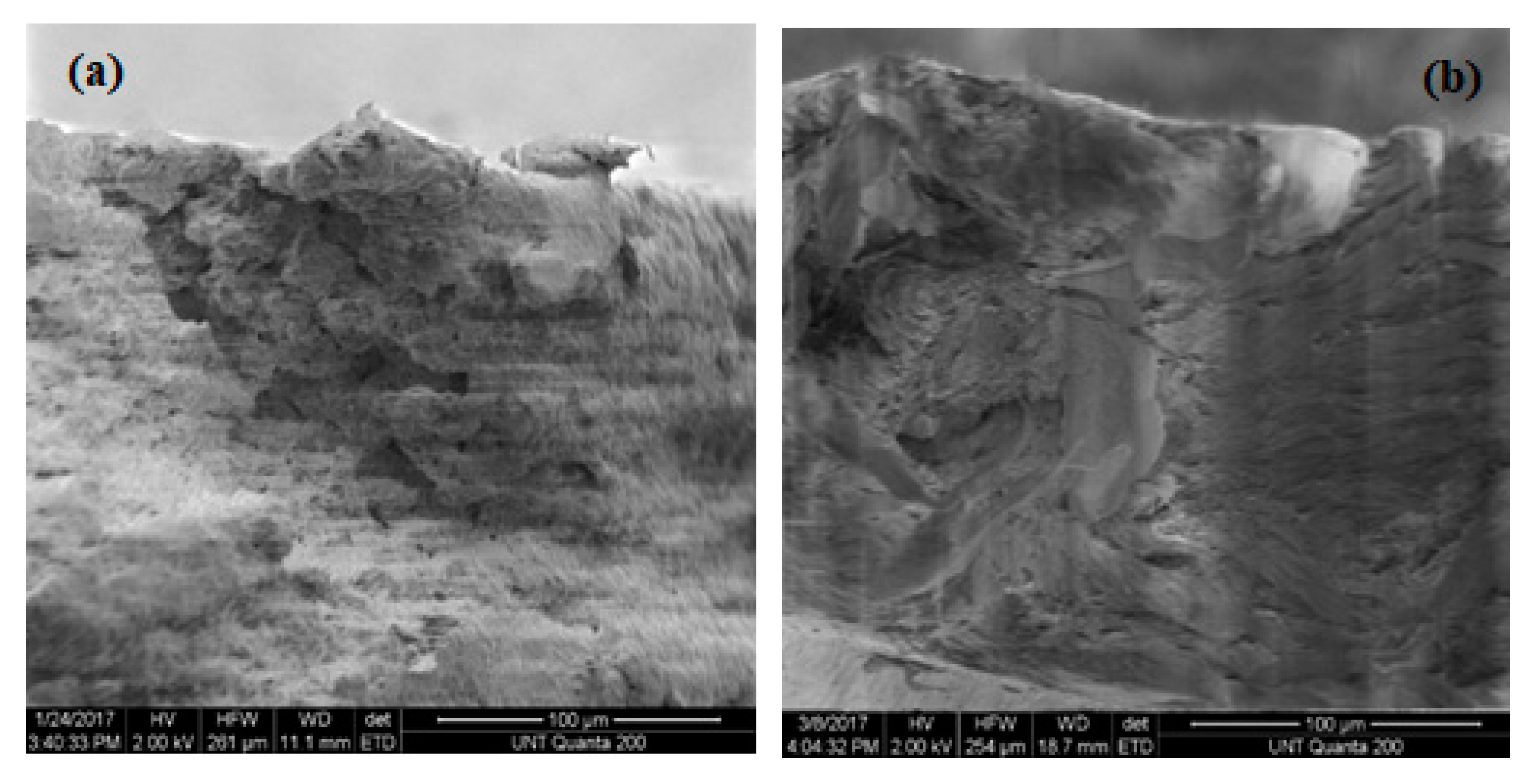 Materials 13 01626 g017a