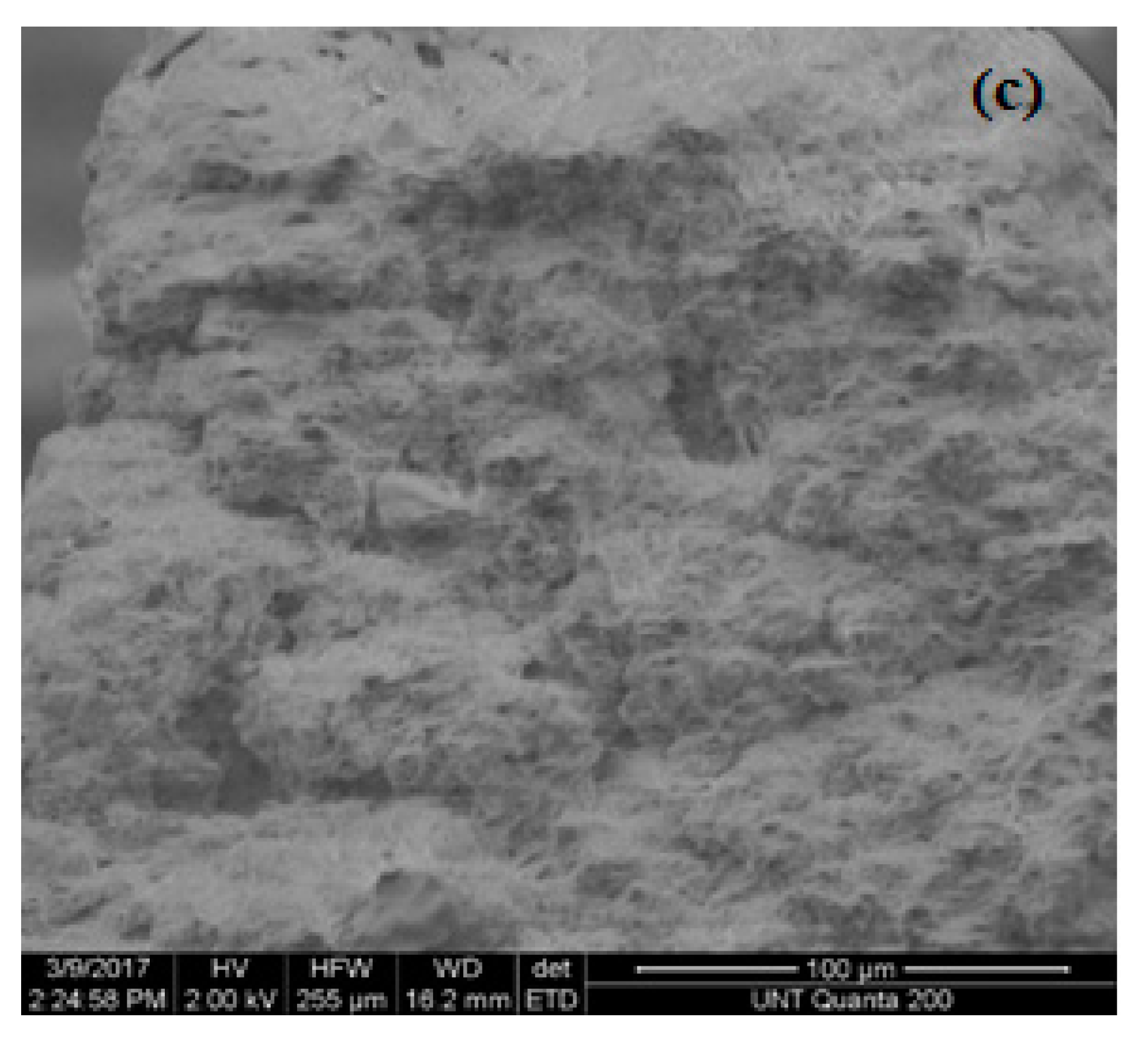 Materials 13 01626 g017b