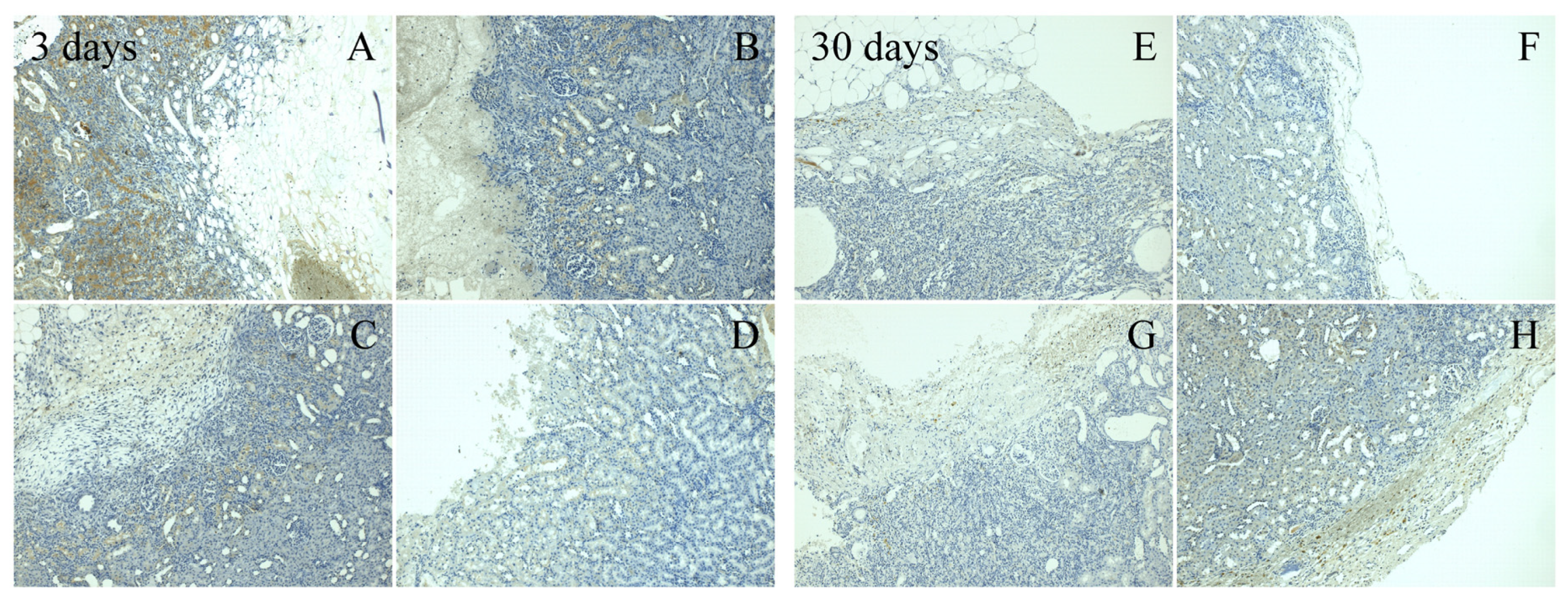 Materials 13 01627 g004