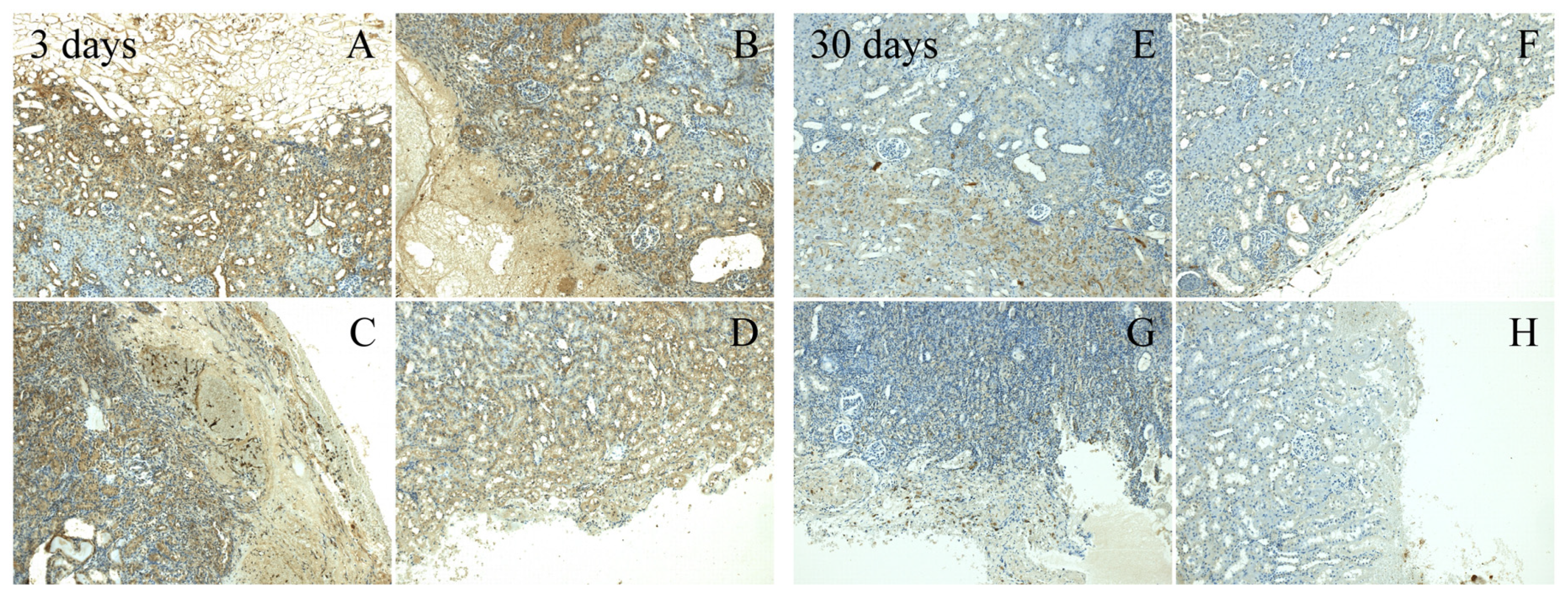 Materials 13 01627 g005