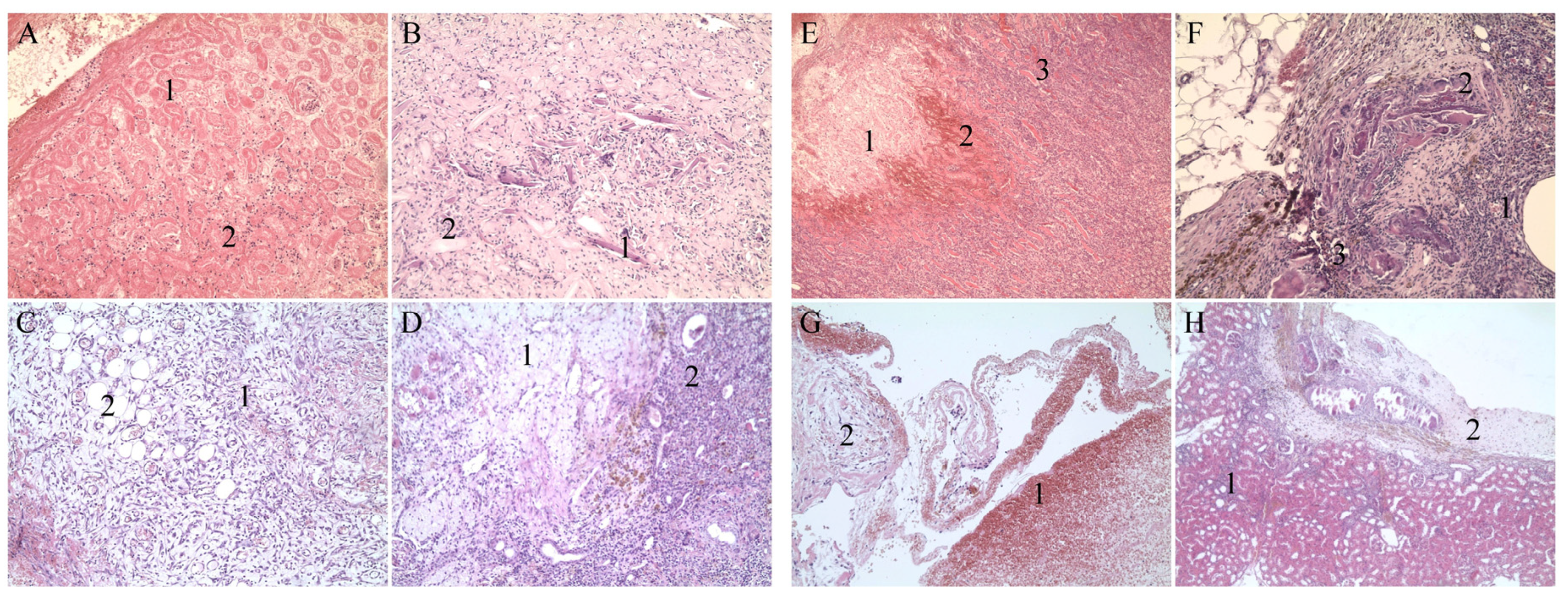 Materials 13 01627 g006