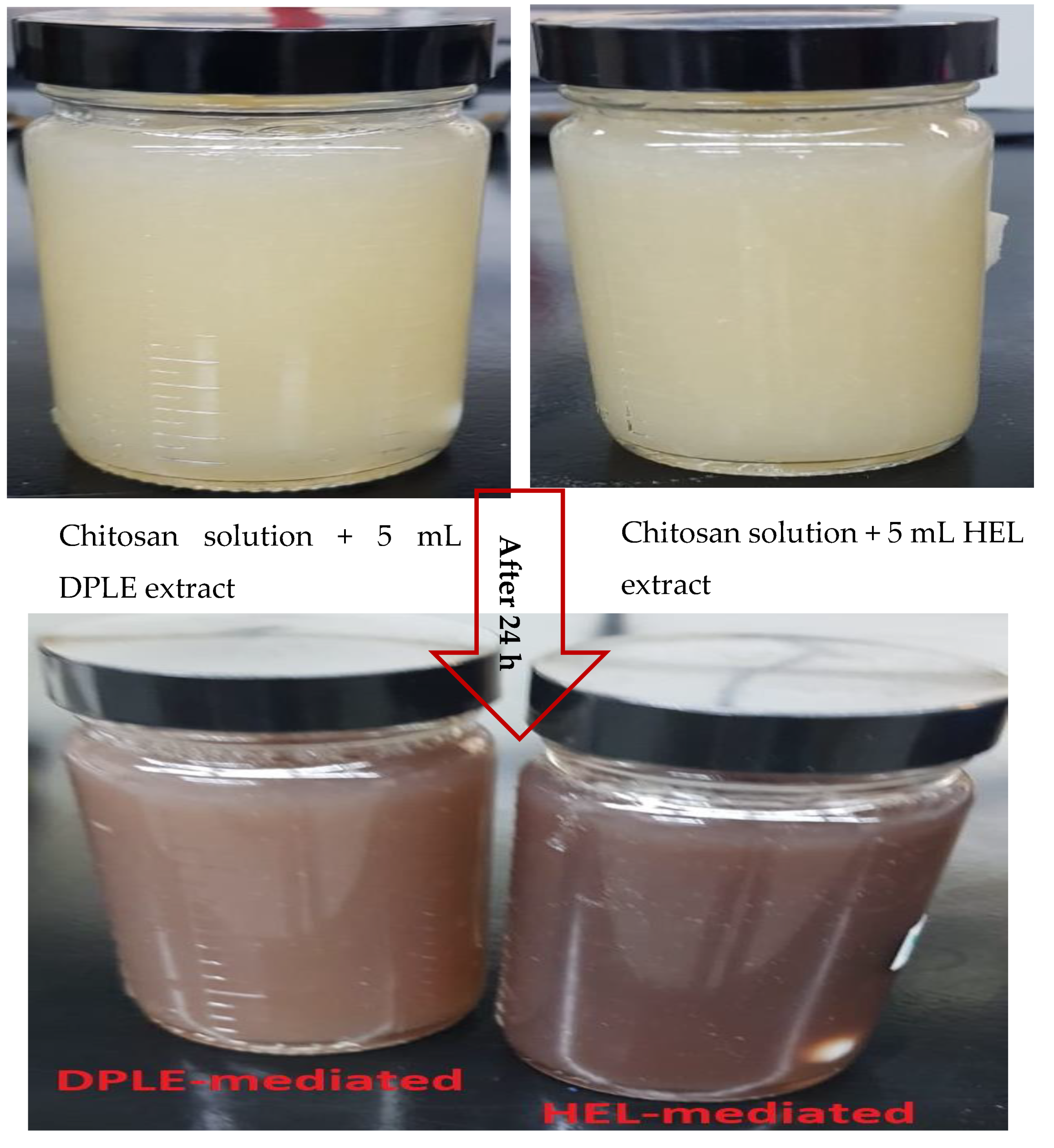 Materials 13 01629 g002