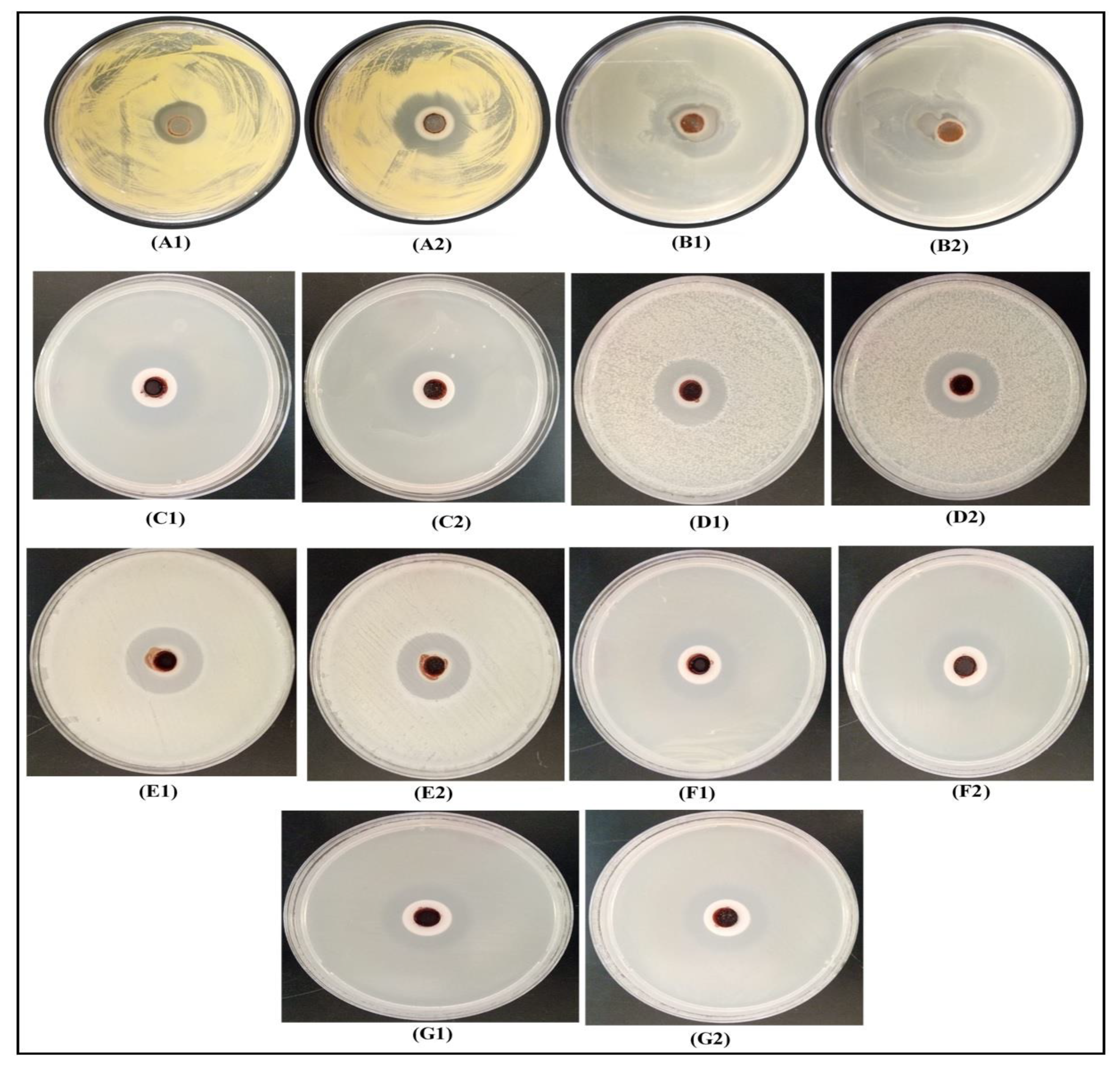 Materials 13 01629 g007