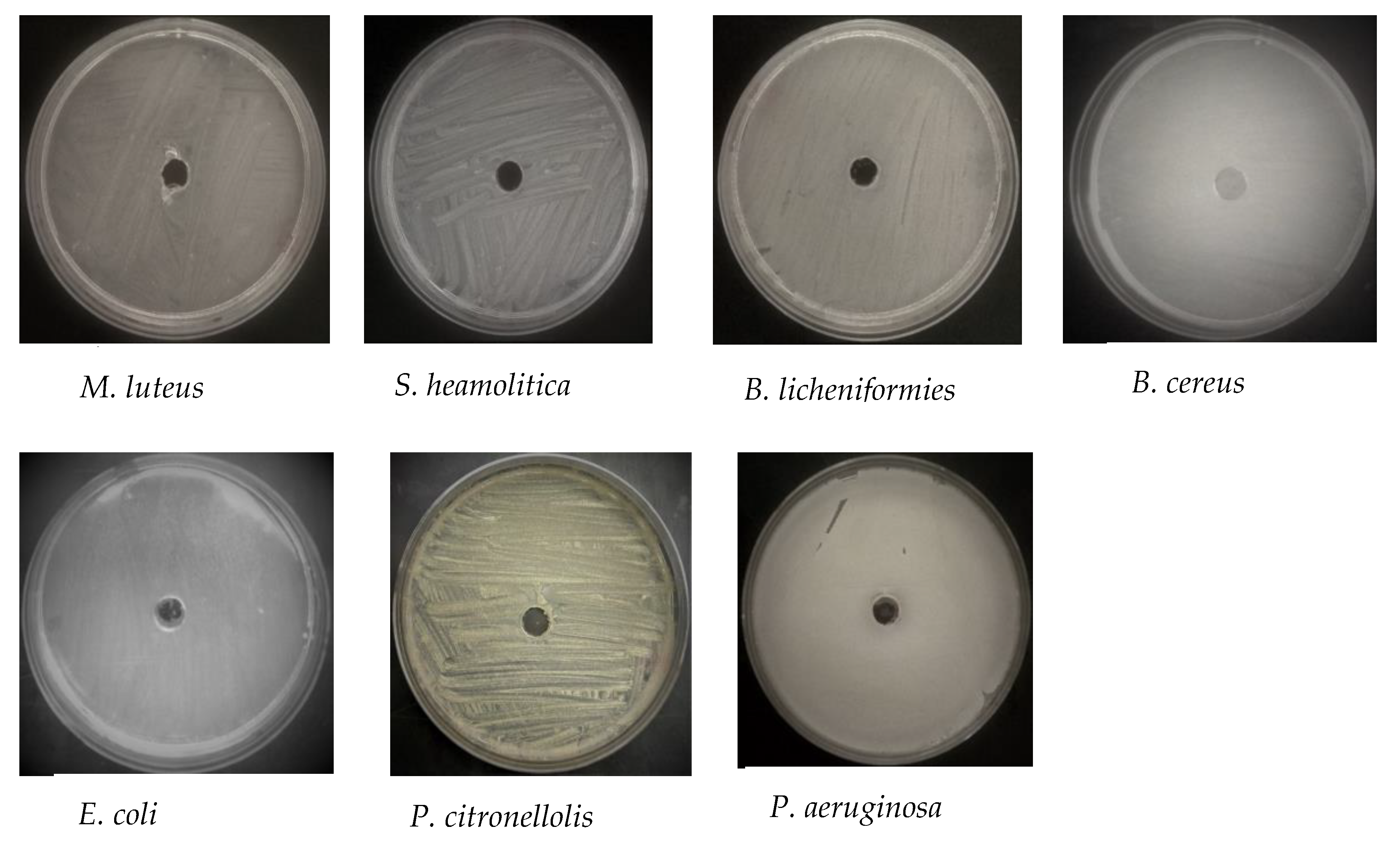 Materials 13 01629 g008