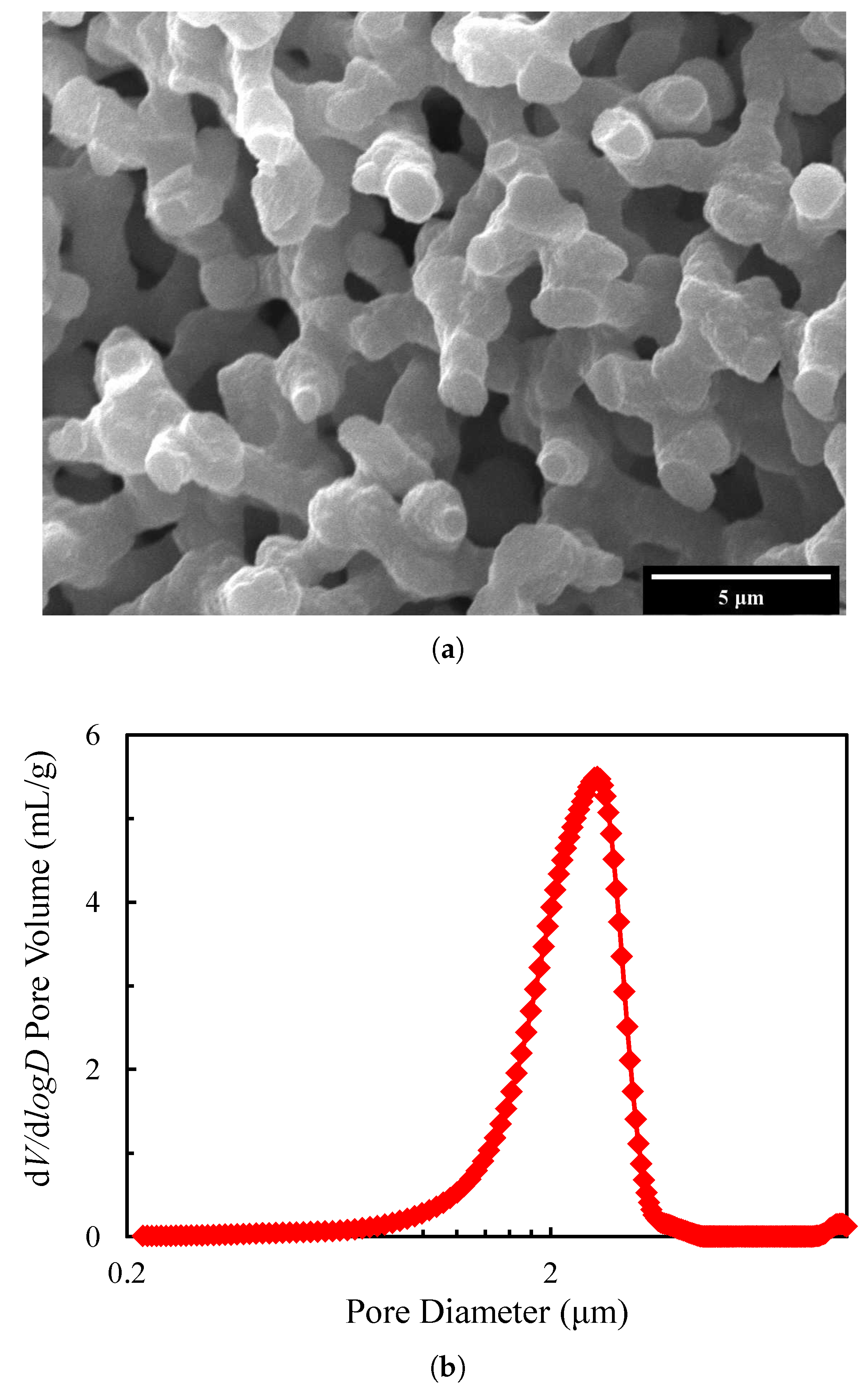 Materials 13 01635 g001