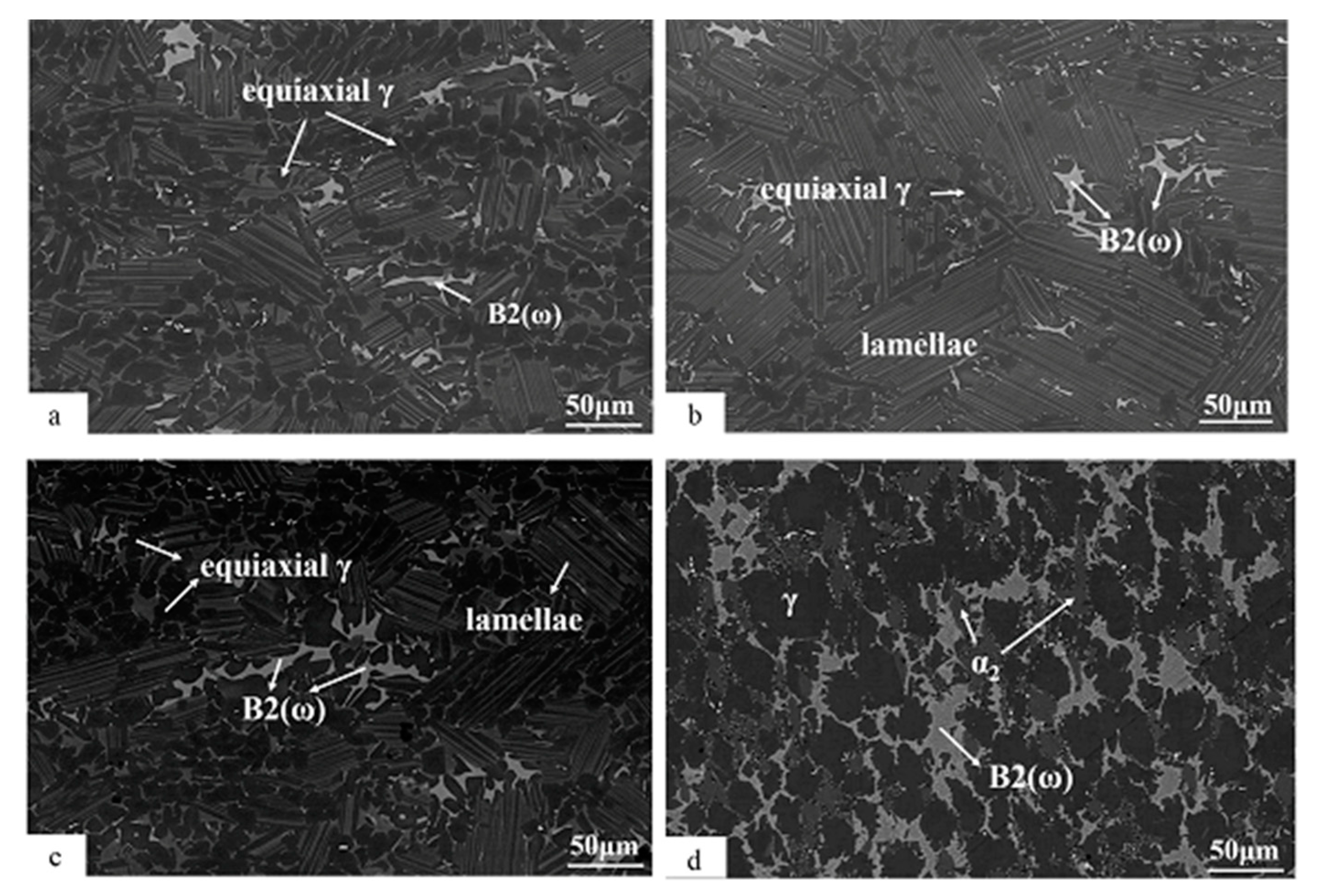 Materials 13 01638 g001