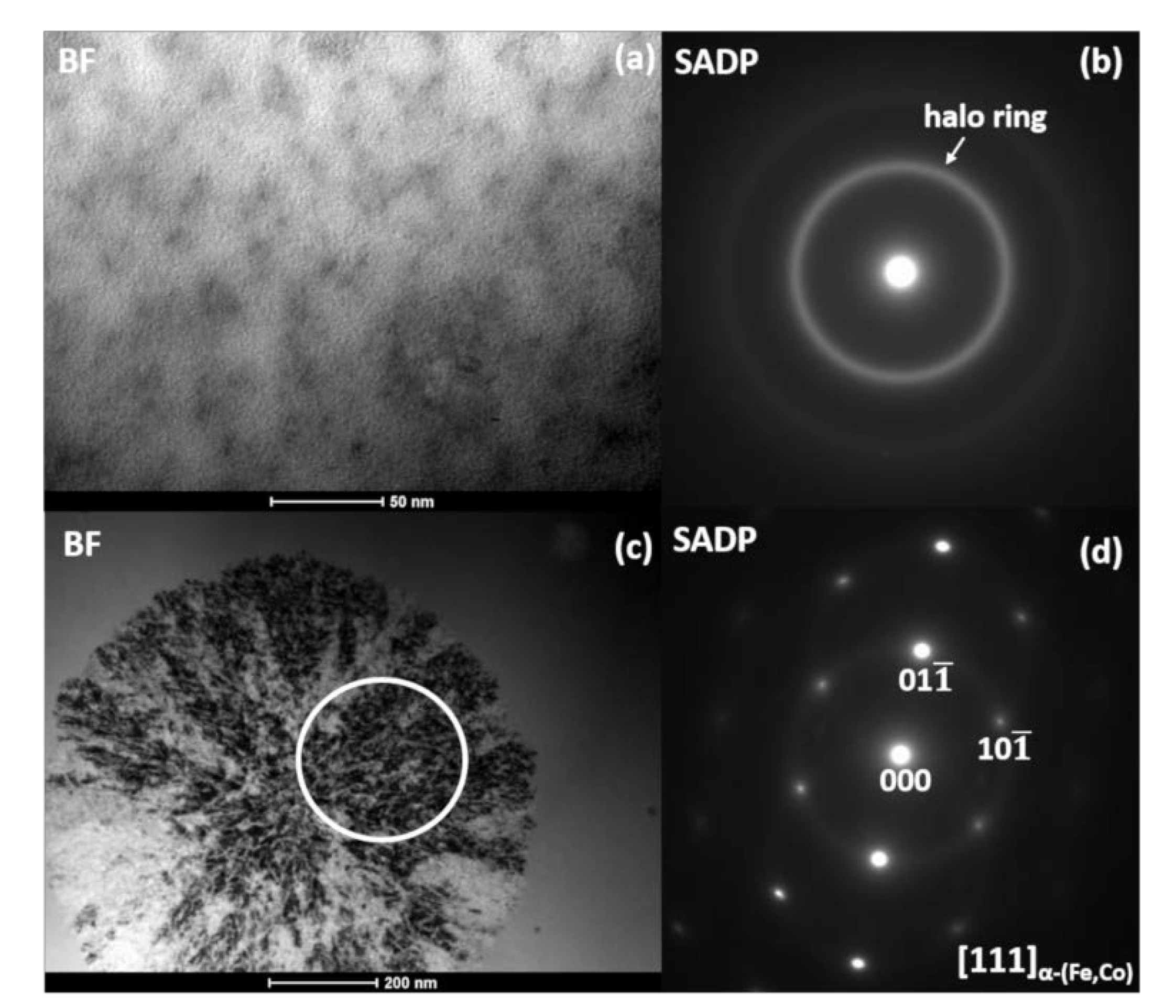 Materials 13 01639 g002