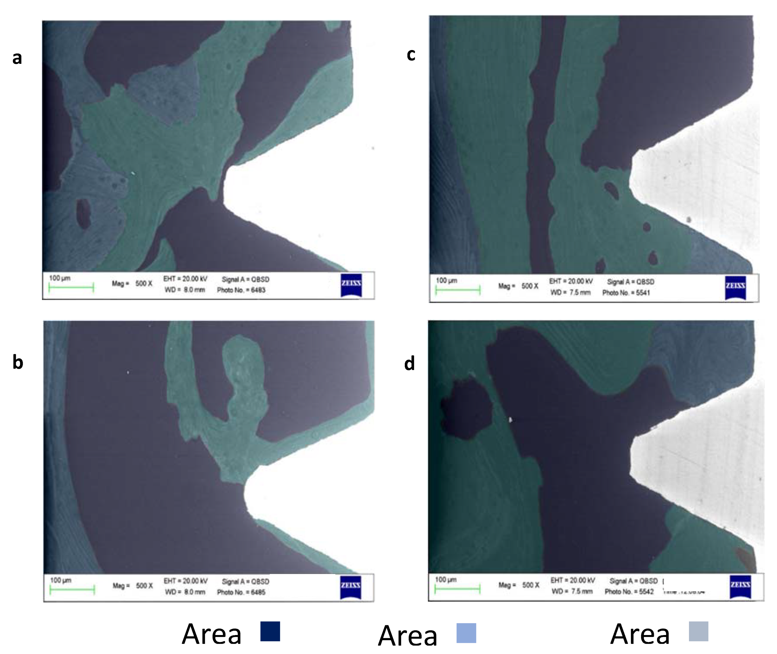 Materials 13 01671 g002