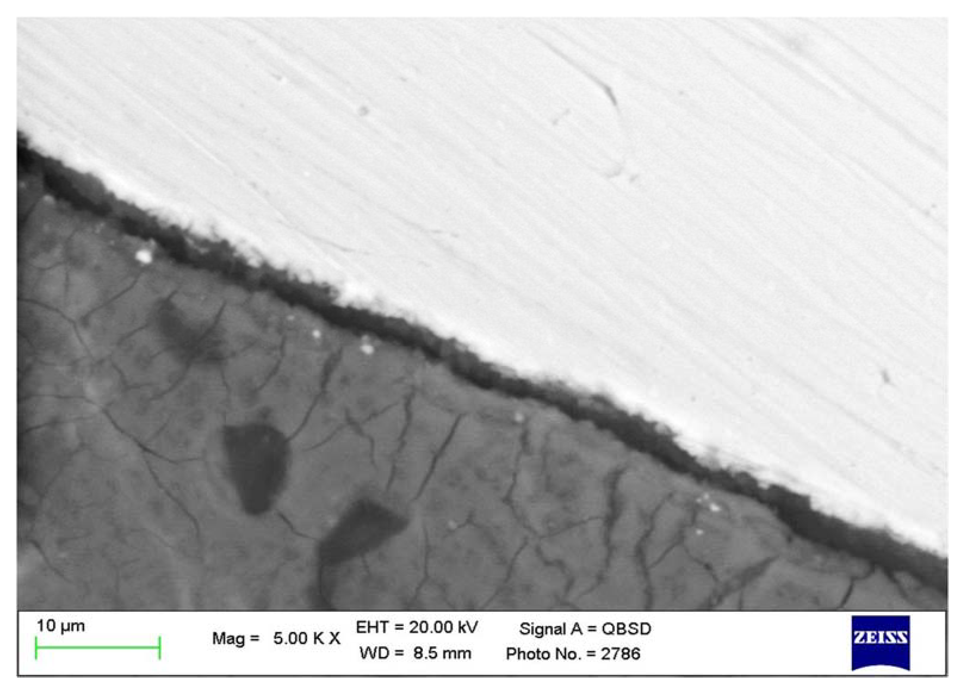 Materials 13 01671 g004