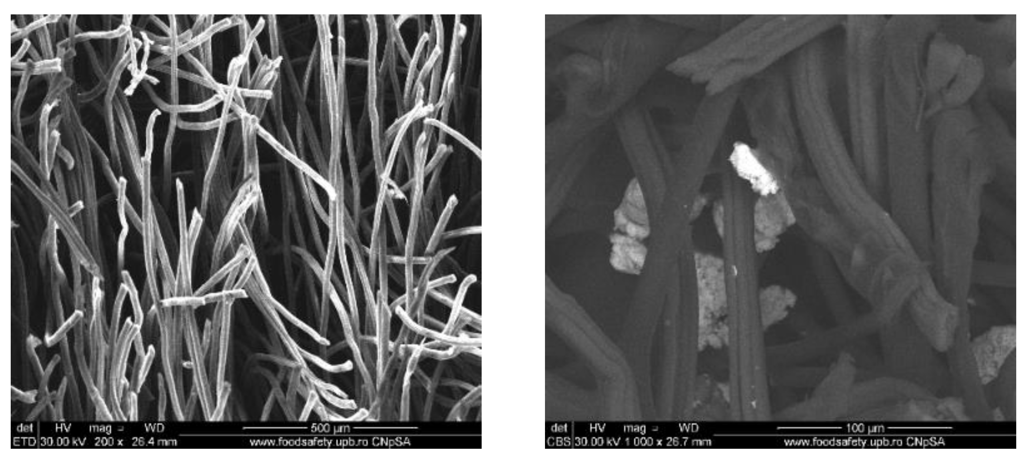 Materials 13 01682 g004