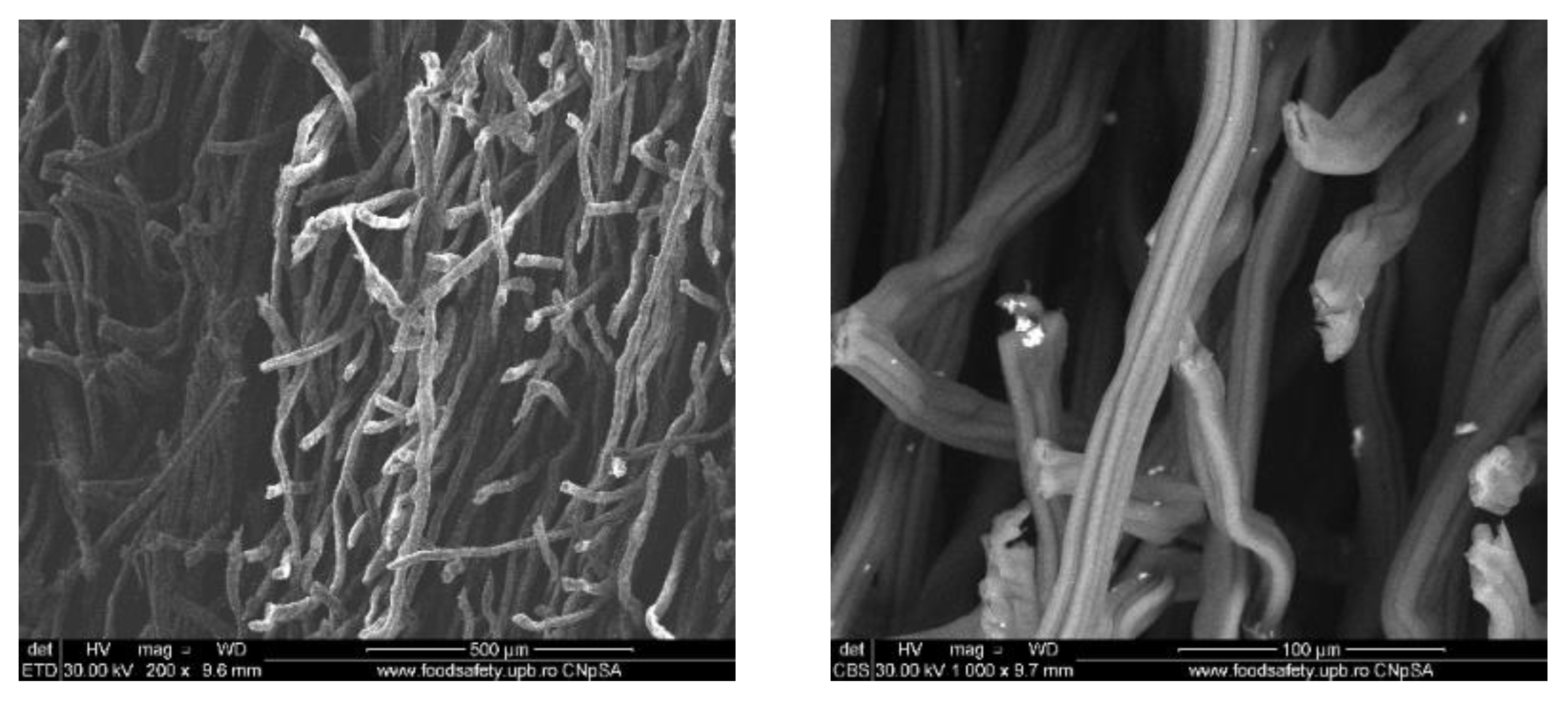 Materials 13 01682 g005