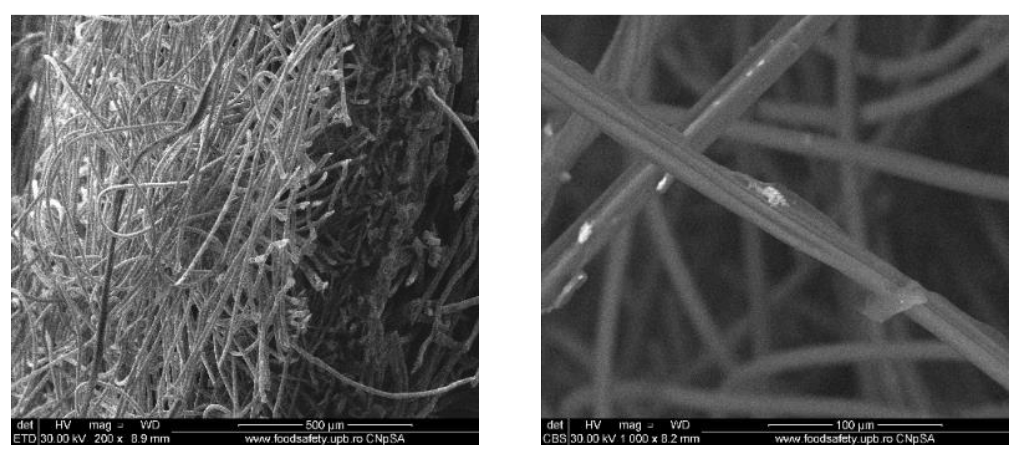 Materials 13 01682 g006