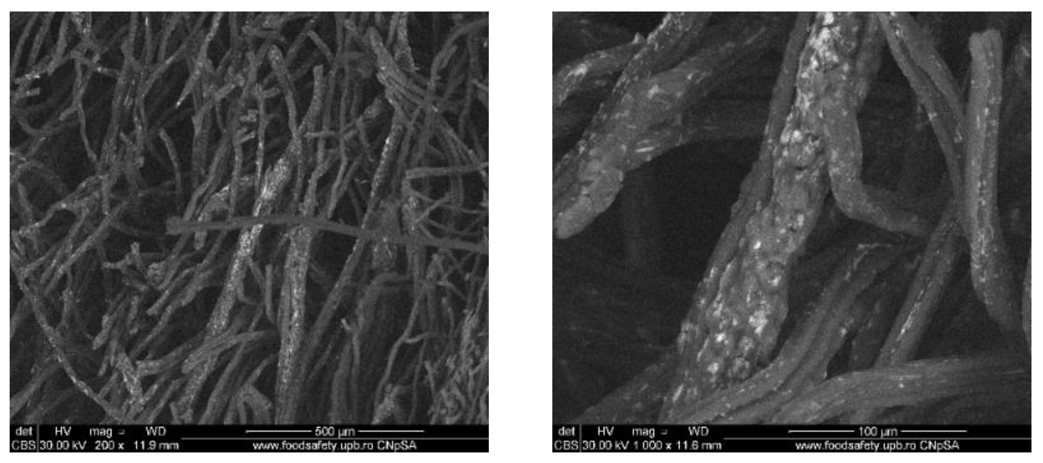 Materials 13 01682 g007