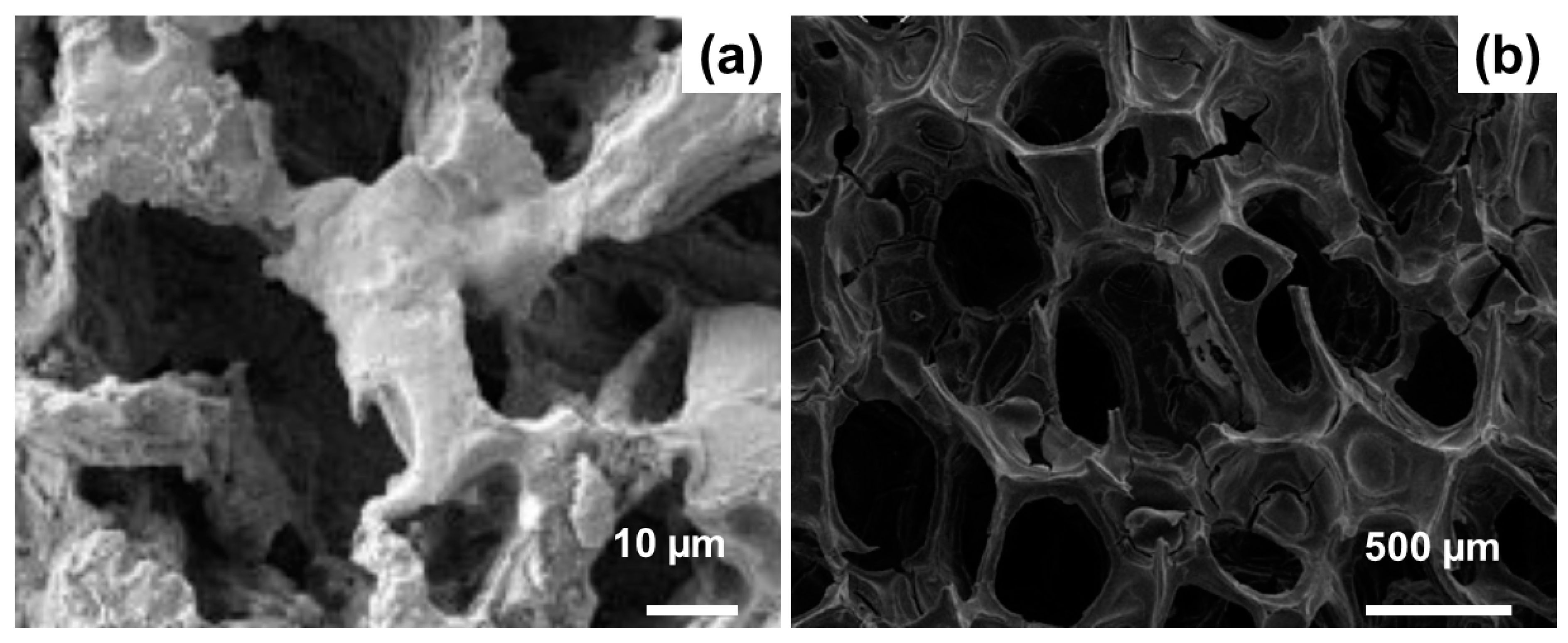 Materials 13 01688 g005