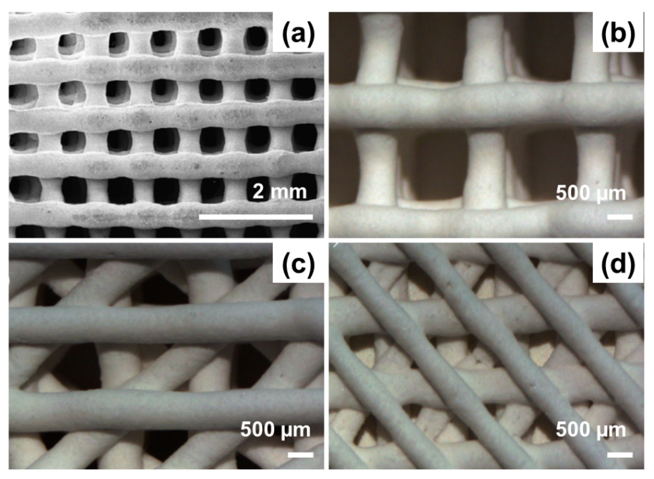 Materials 13 01688 g008