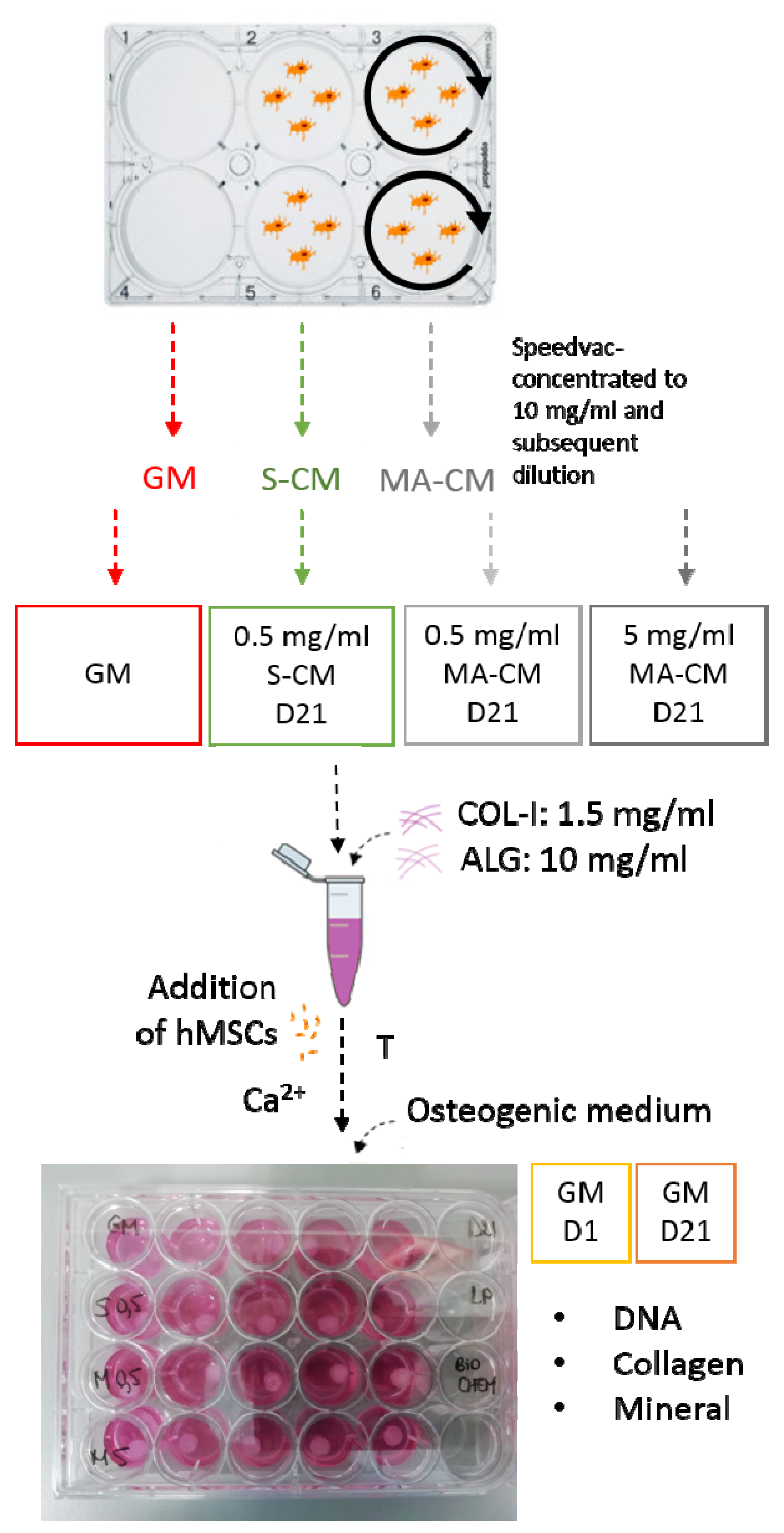 Materials 13 01690 g001