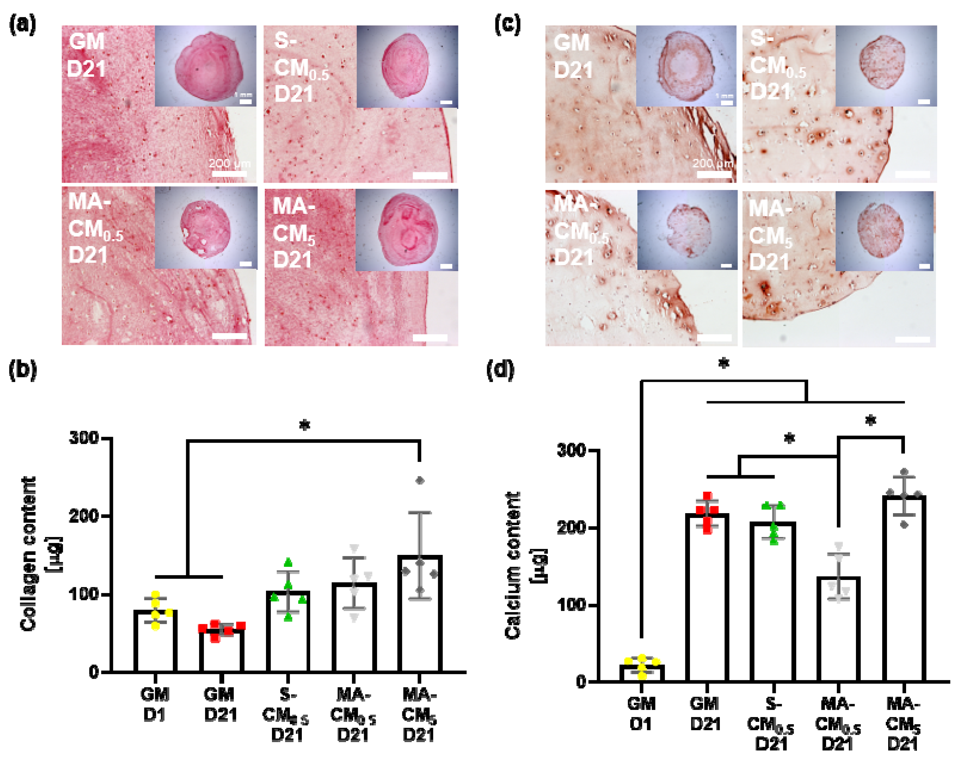 Materials 13 01690 g005