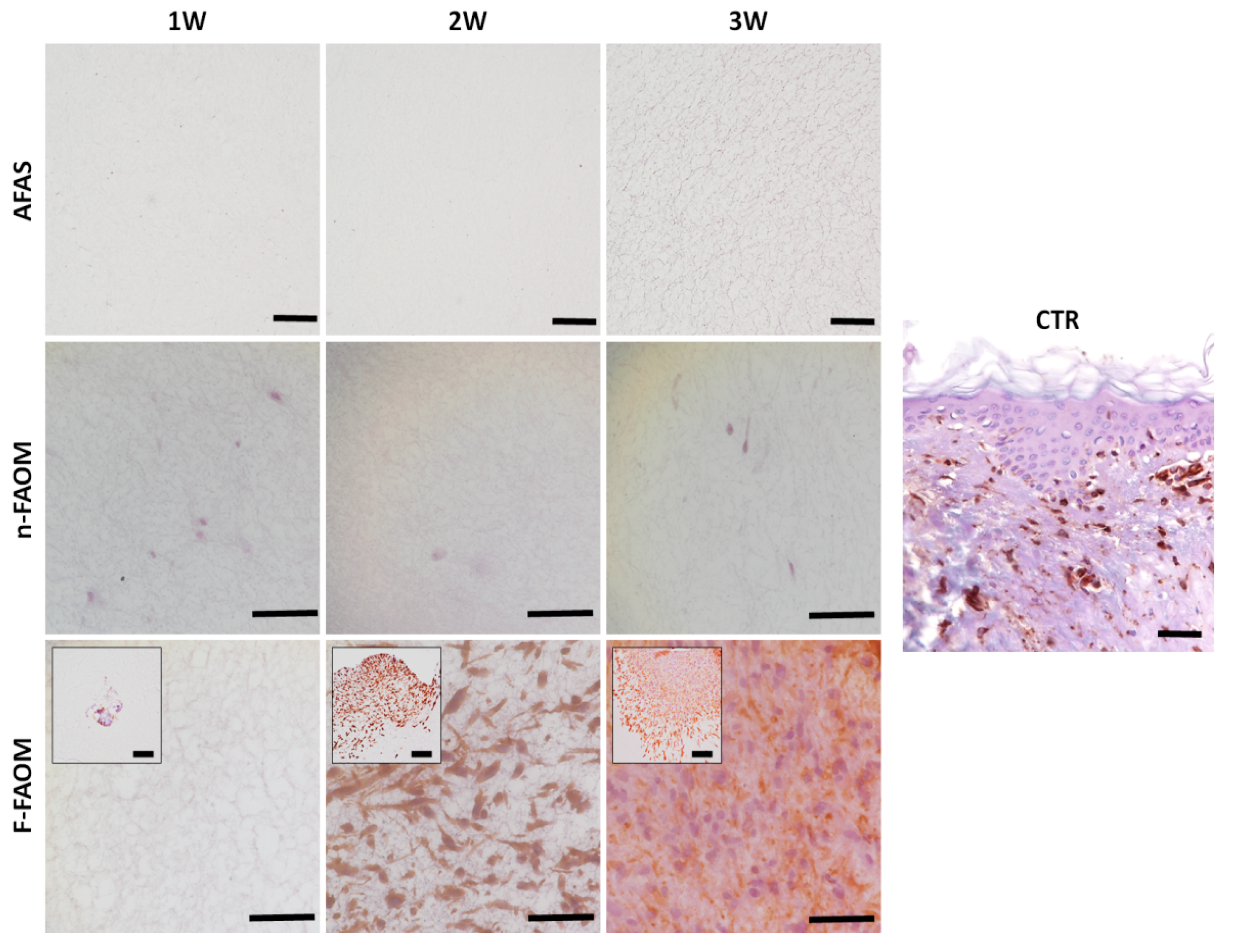 Materials 13 01692 g002