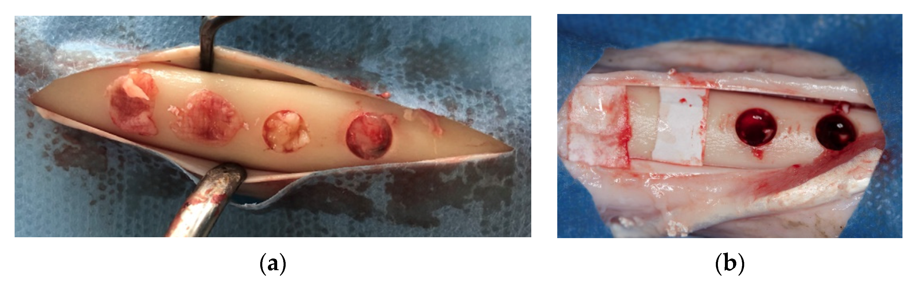 Materials 13 01695 g002