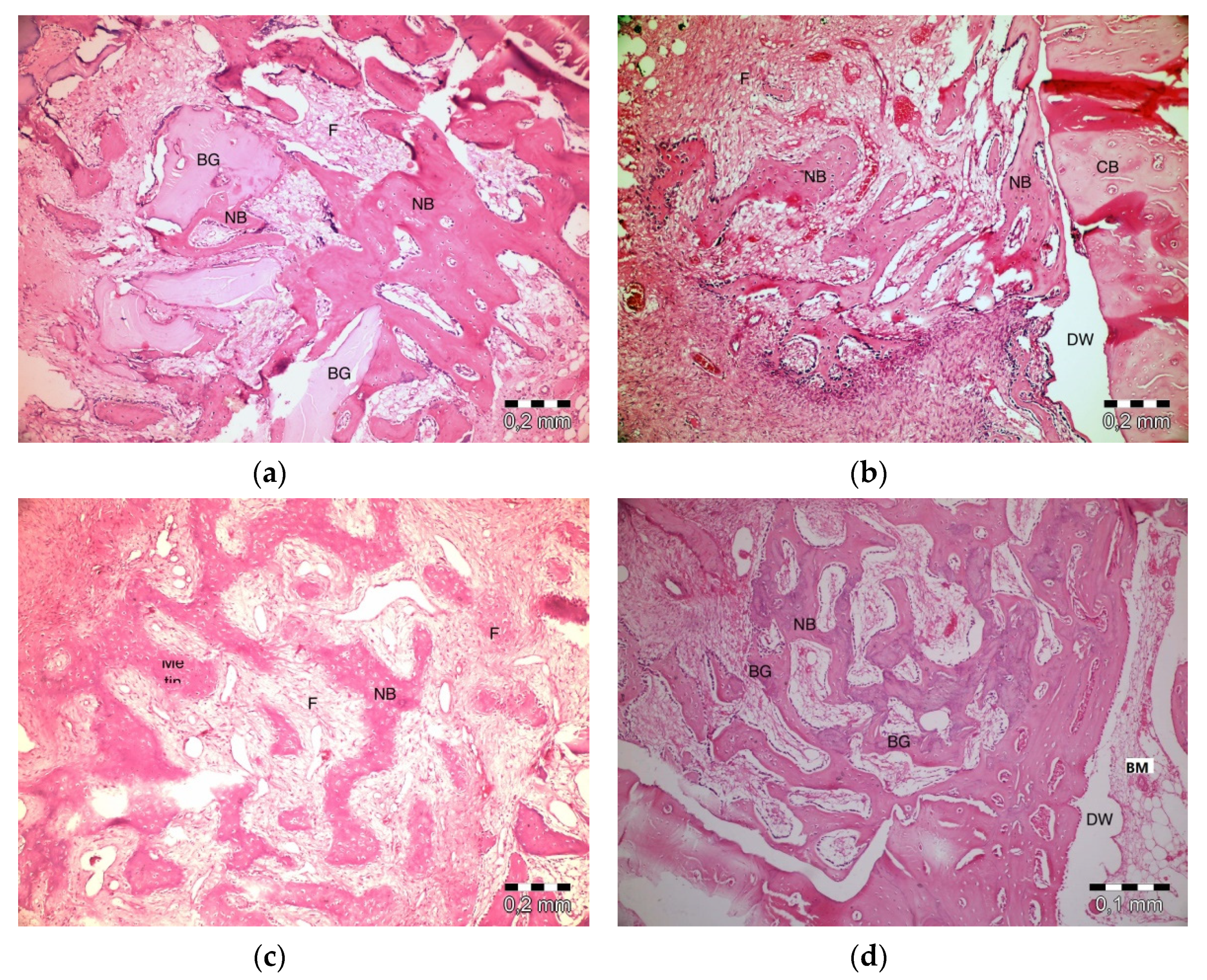 Materials 13 01695 g004