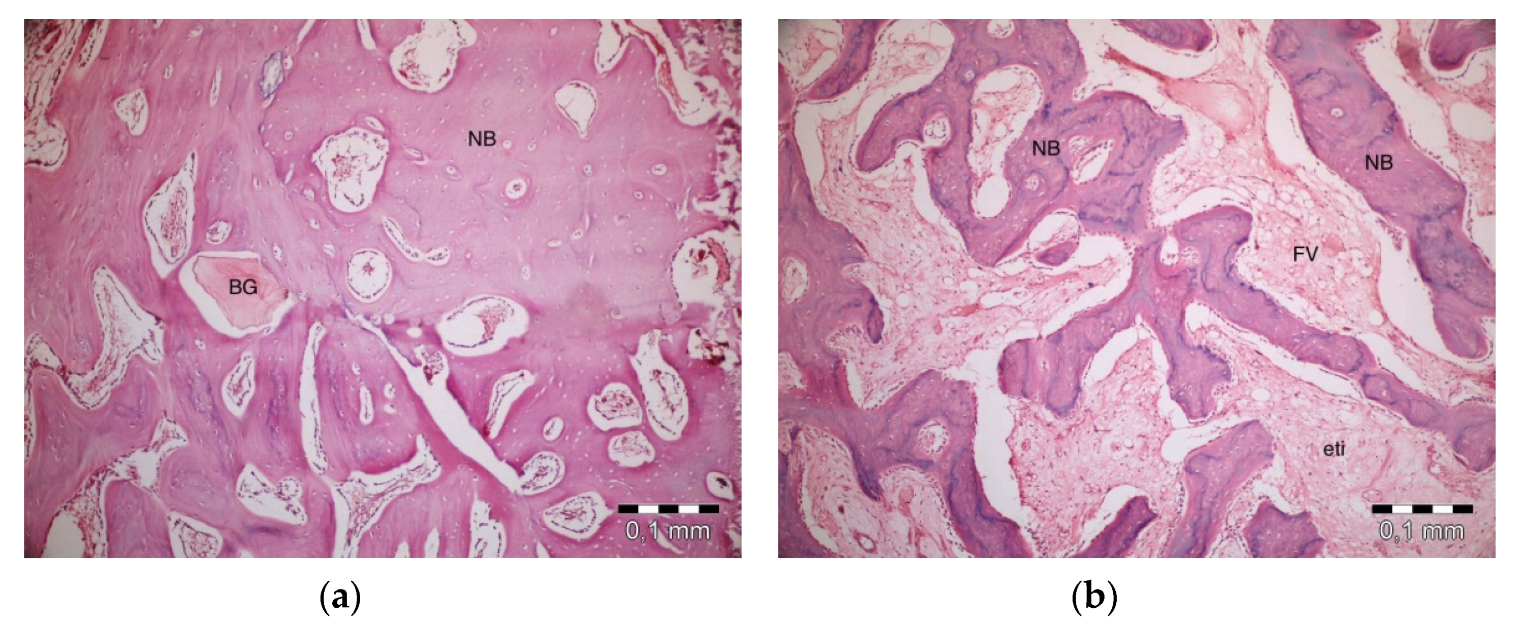 Materials 13 01695 g005a