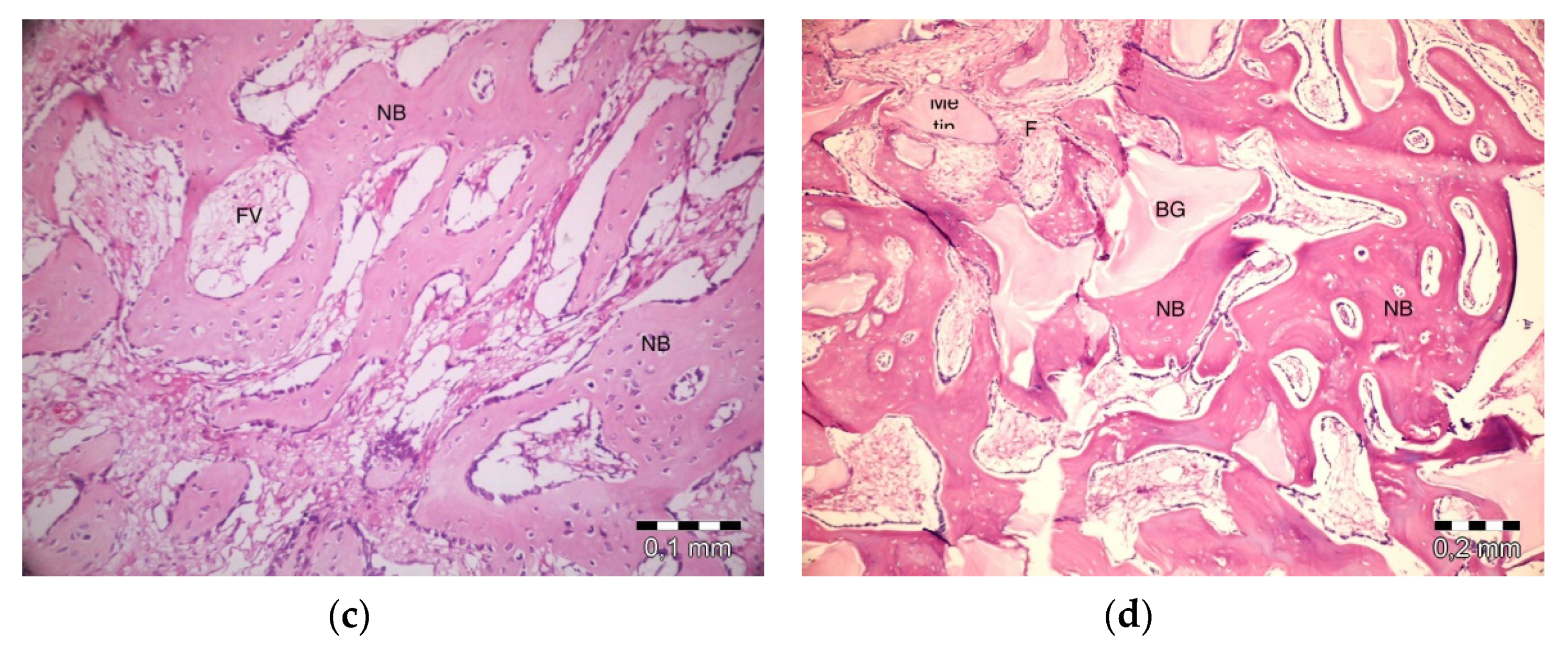 Materials 13 01695 g005b