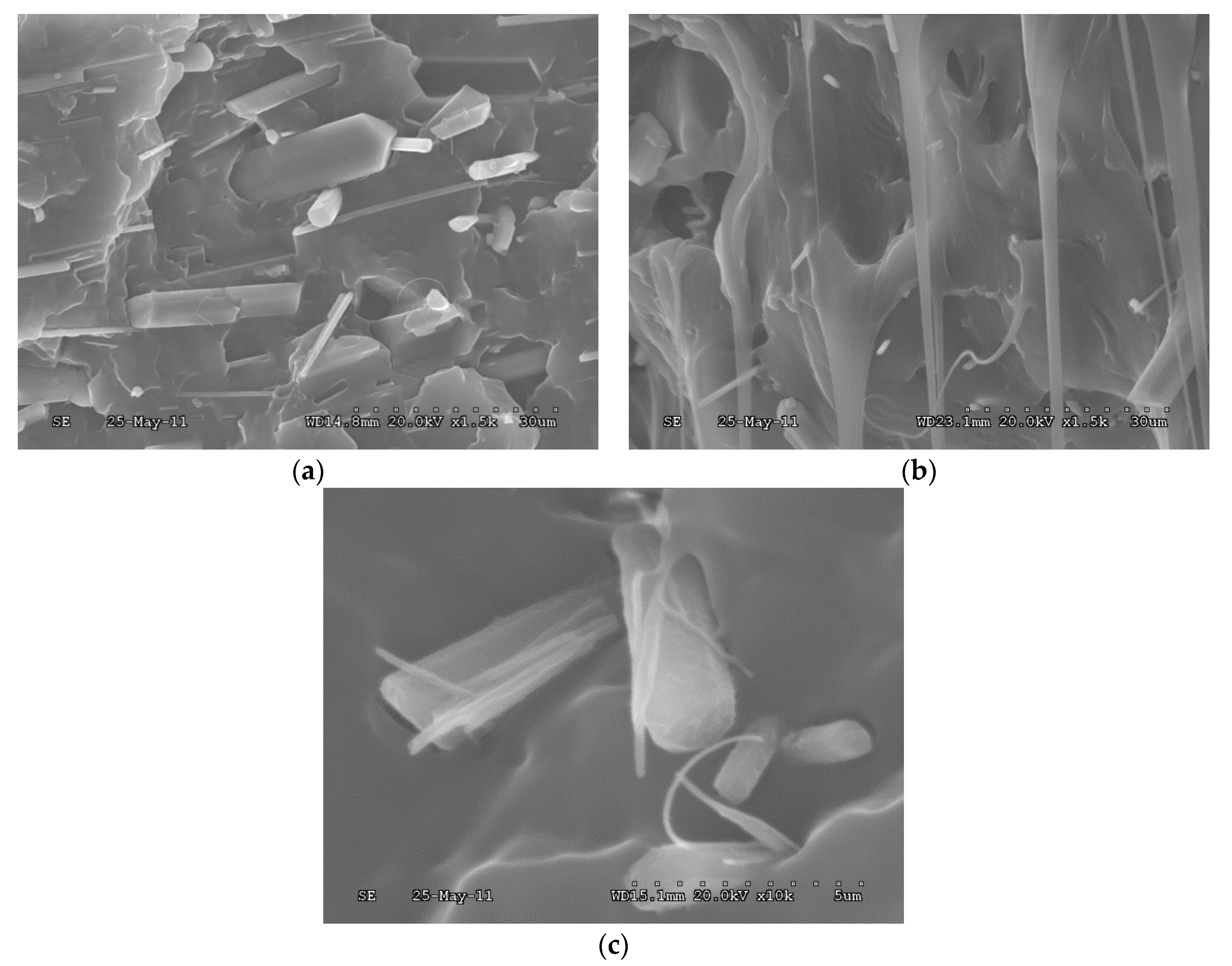 Materials 13 01698 g002