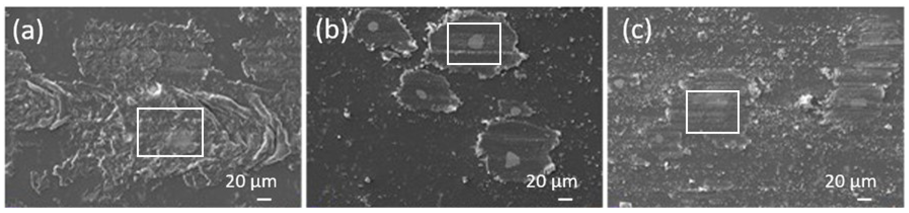 Materials 13 01702 g004