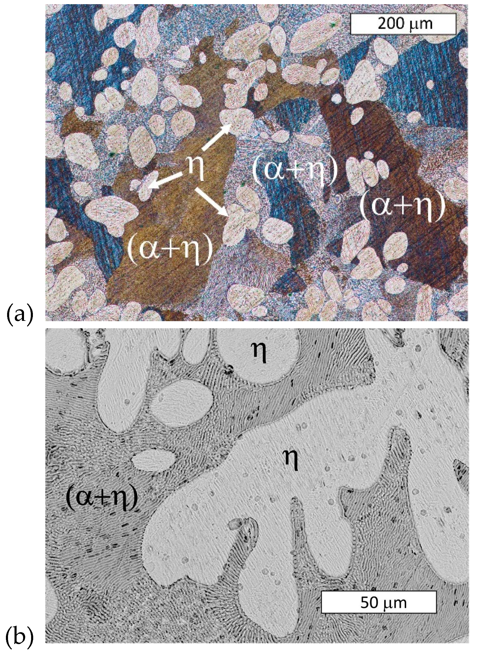 Materials 13 01703 g003