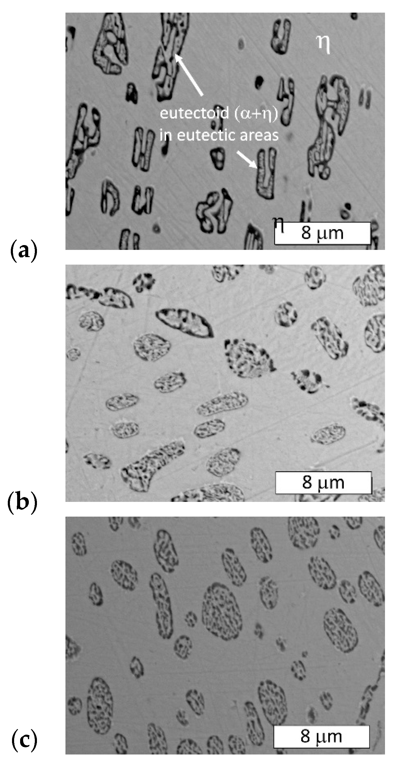 Materials 13 01703 g005