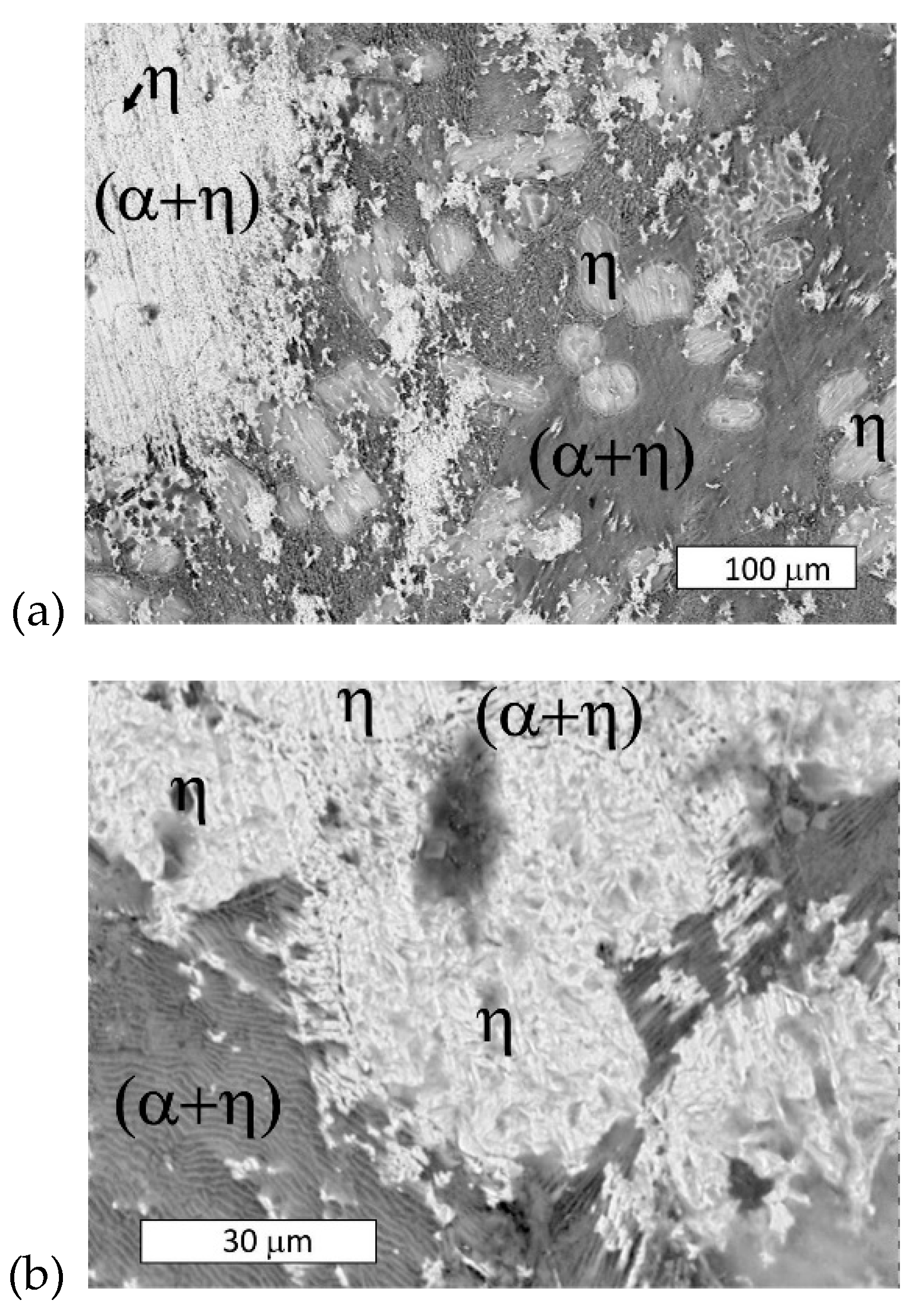 Materials 13 01703 g009