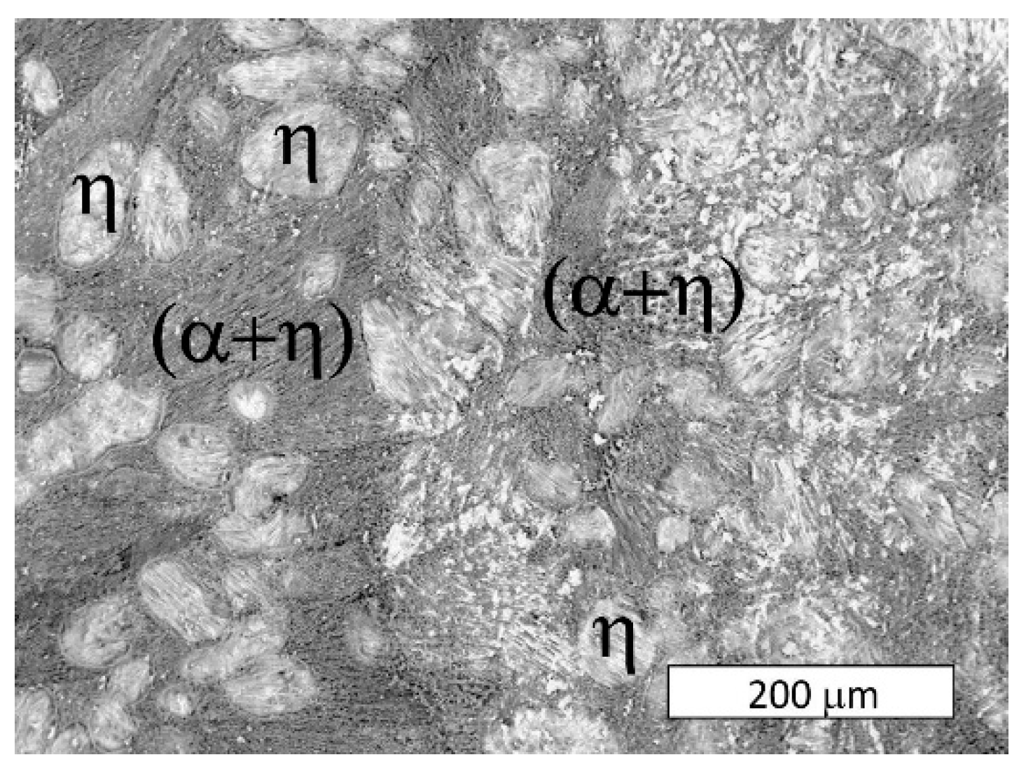 Materials 13 01703 g010